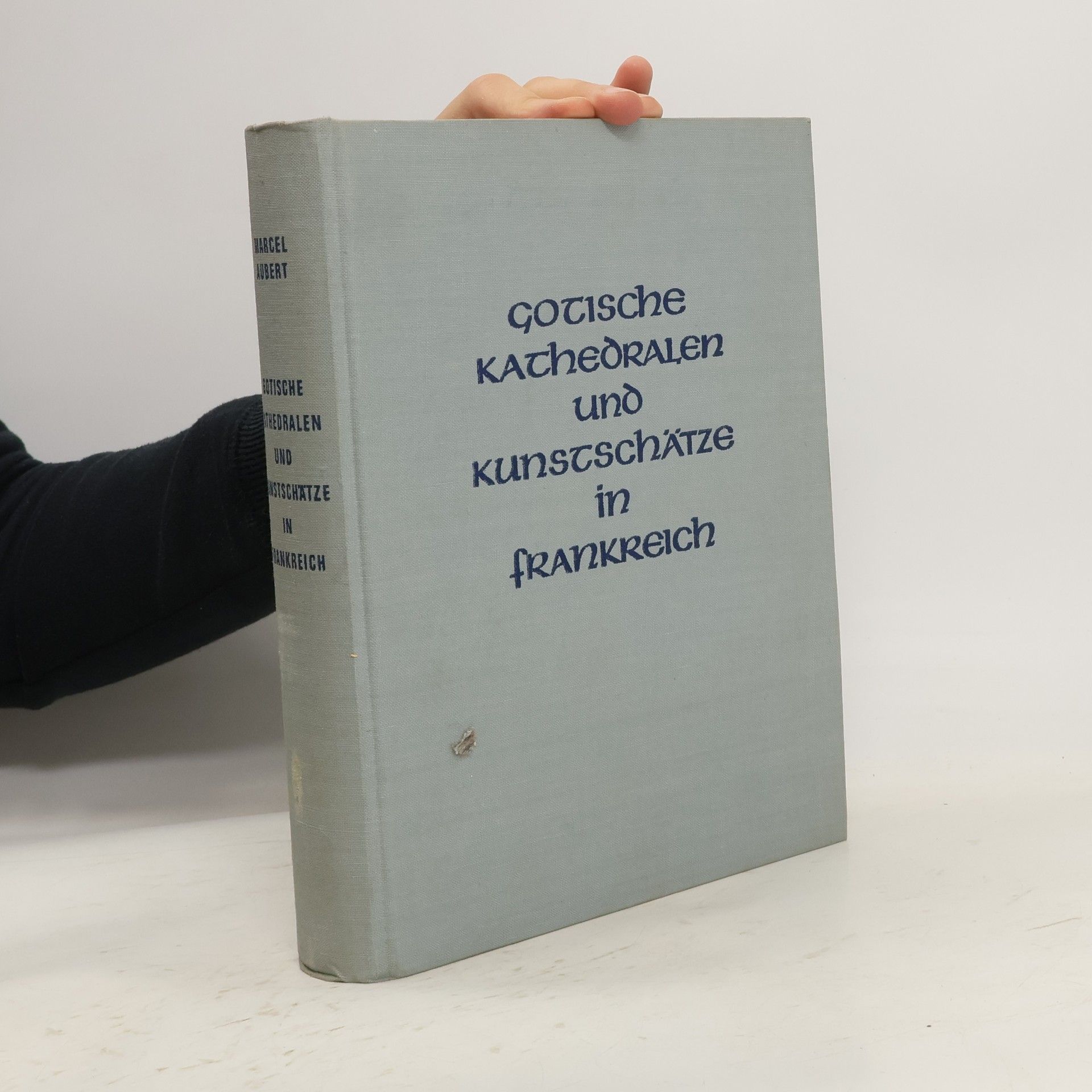 Hervé Kergall Gotische Kathedralen und Kunstschätze in Frankreich