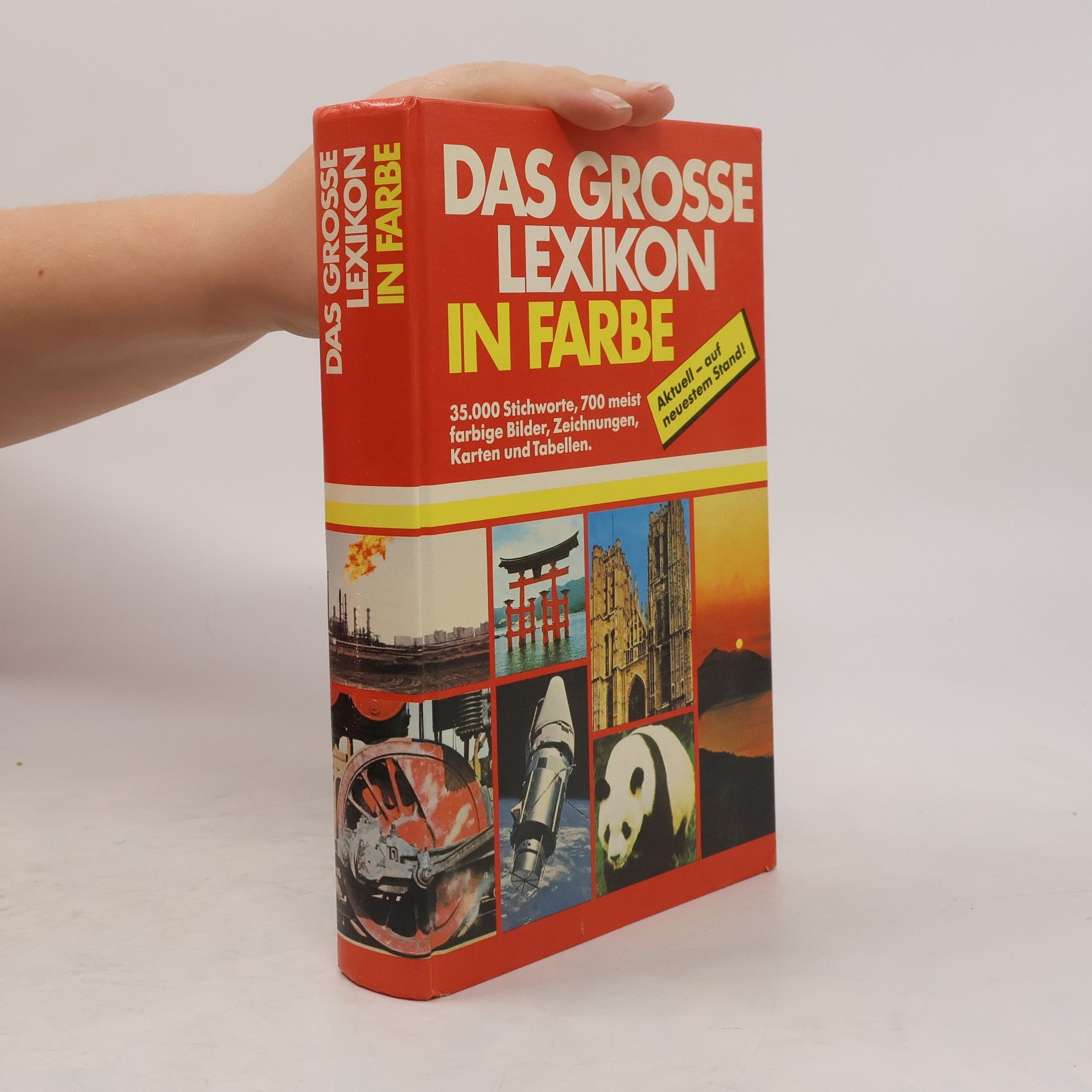 Autorenkollektiv Das grosse Lexikon in Farbe