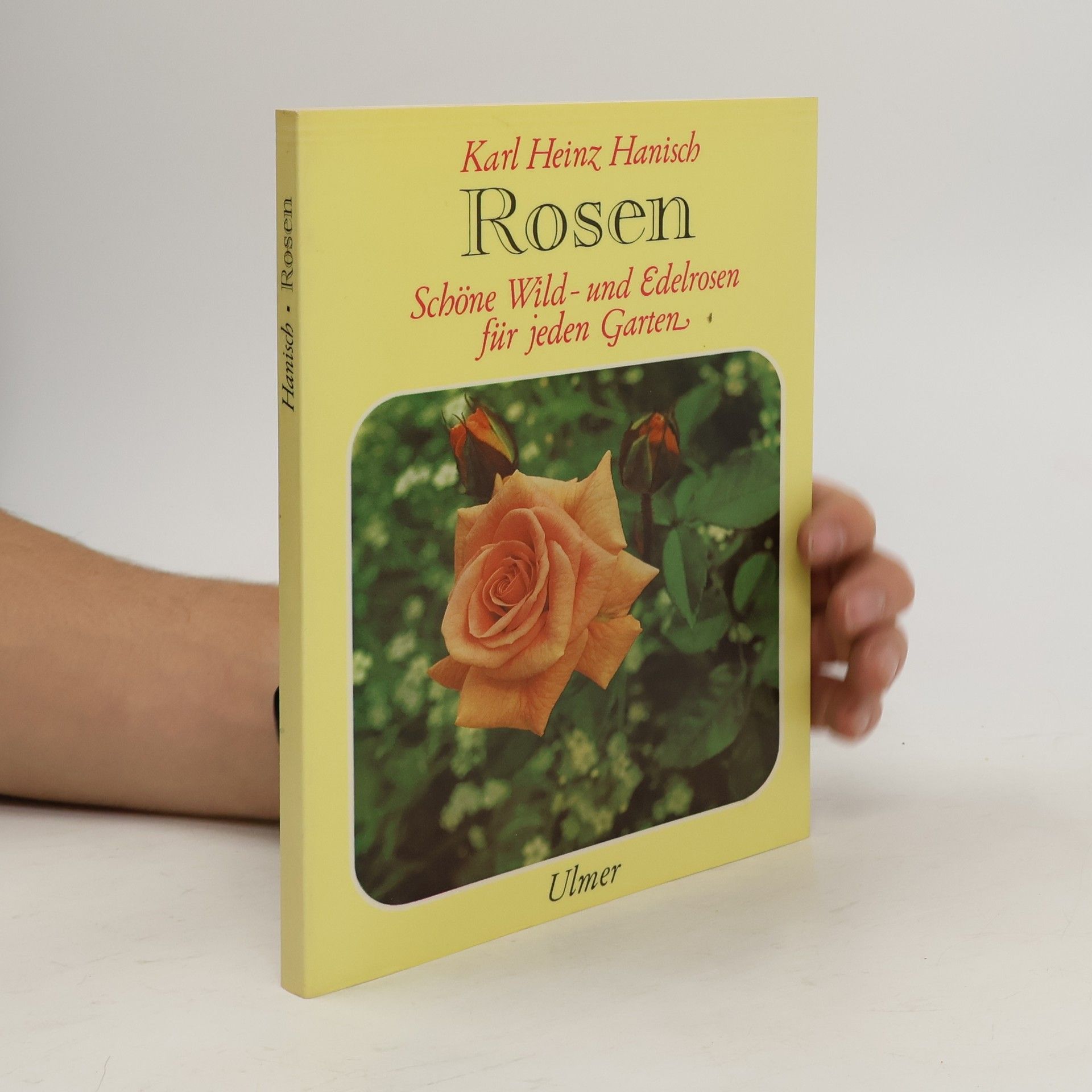 Karl Heinz Hanisch Rosen