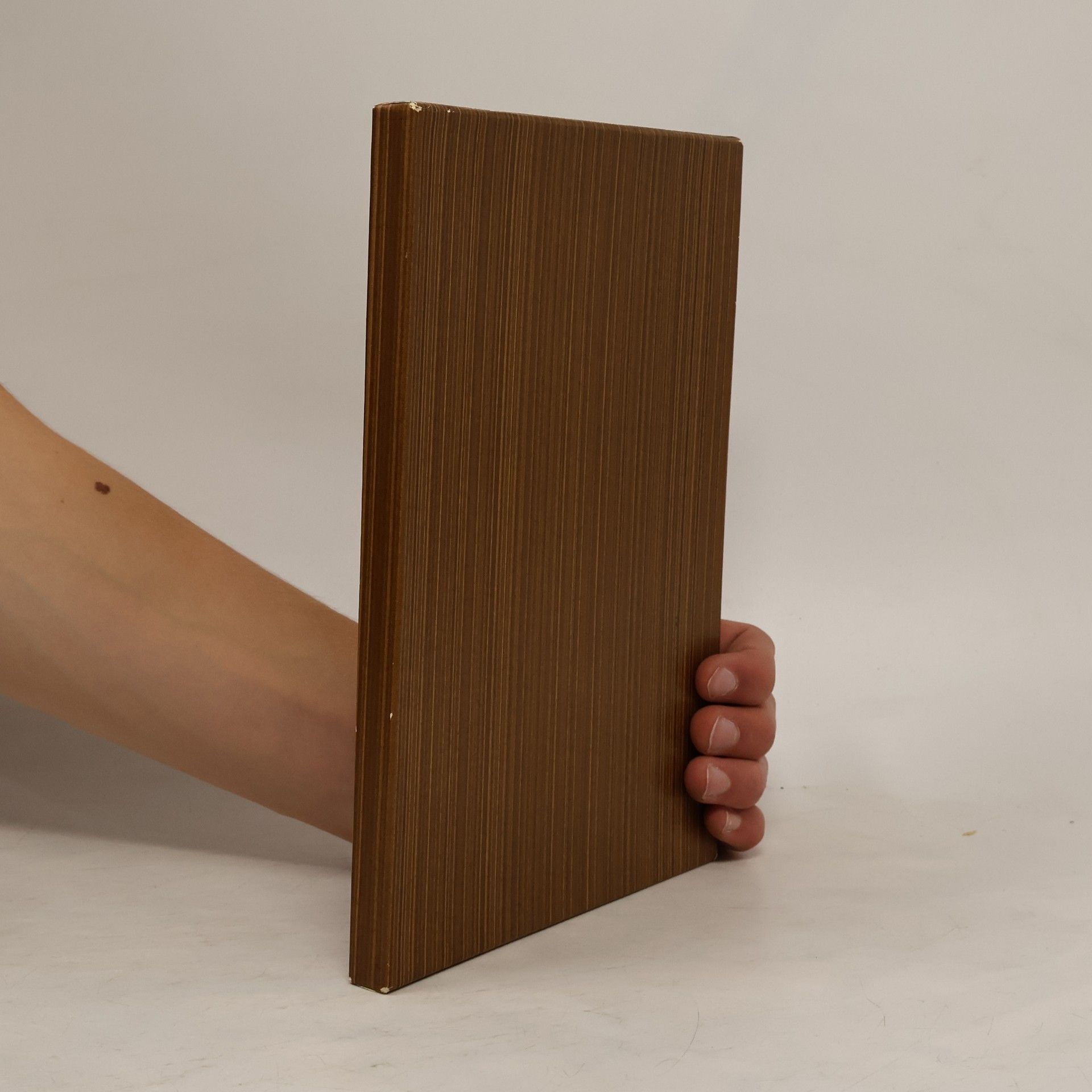 Walter Neuse Die Geschichte der Rittersitze Haus Wohnung und Haus Endt