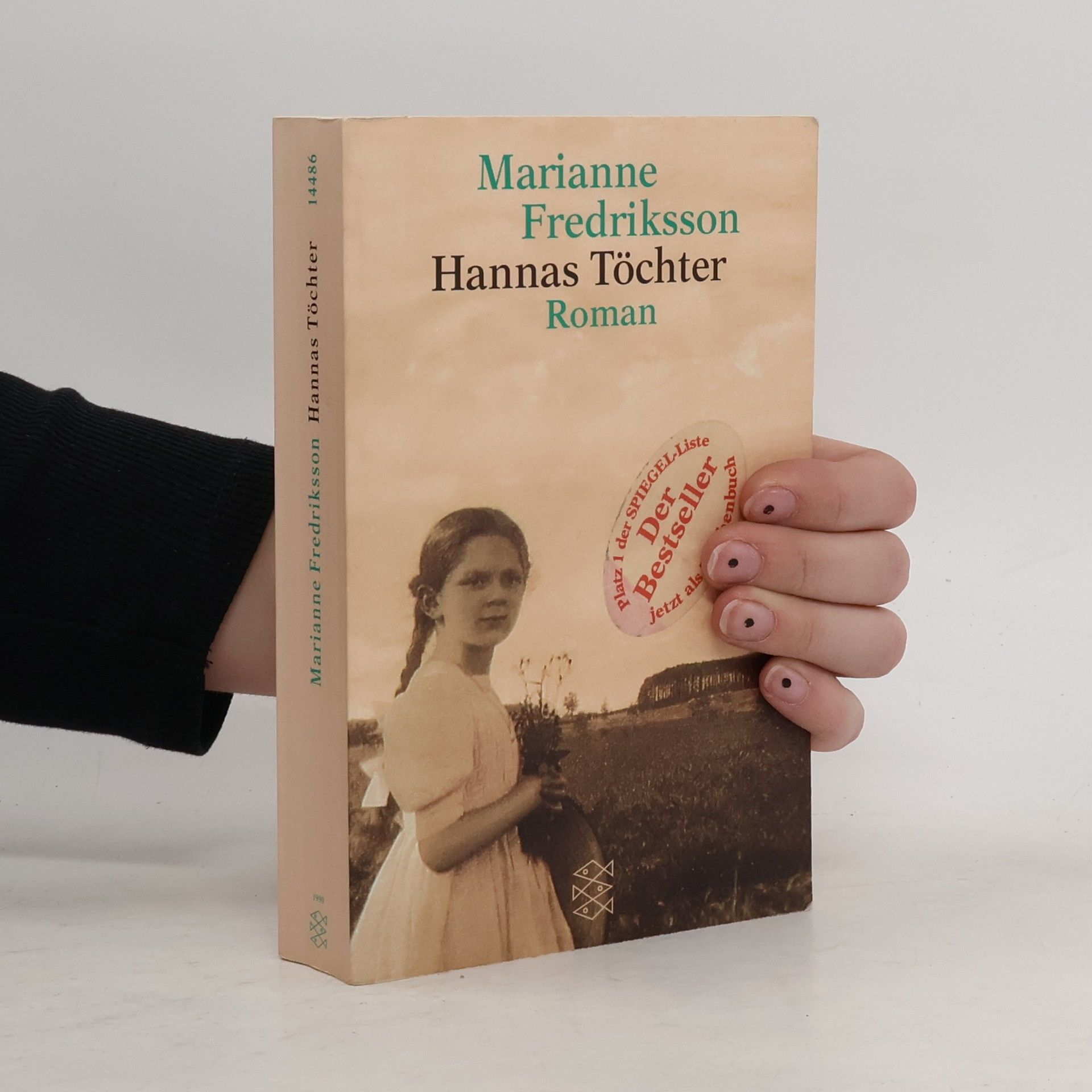 Marianne Fredriksson Hannas Töchter
