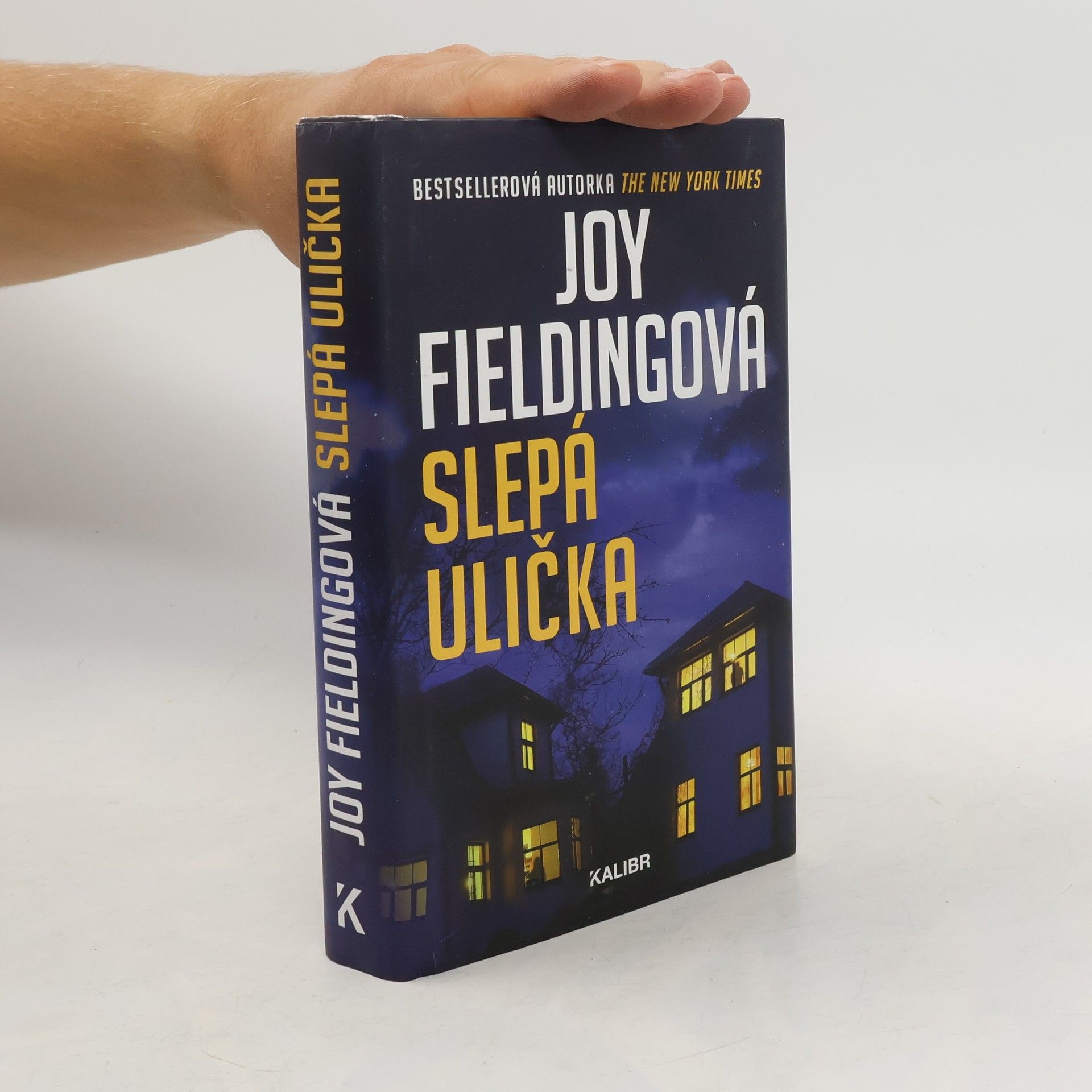 Joy Fielding Slepá ulička