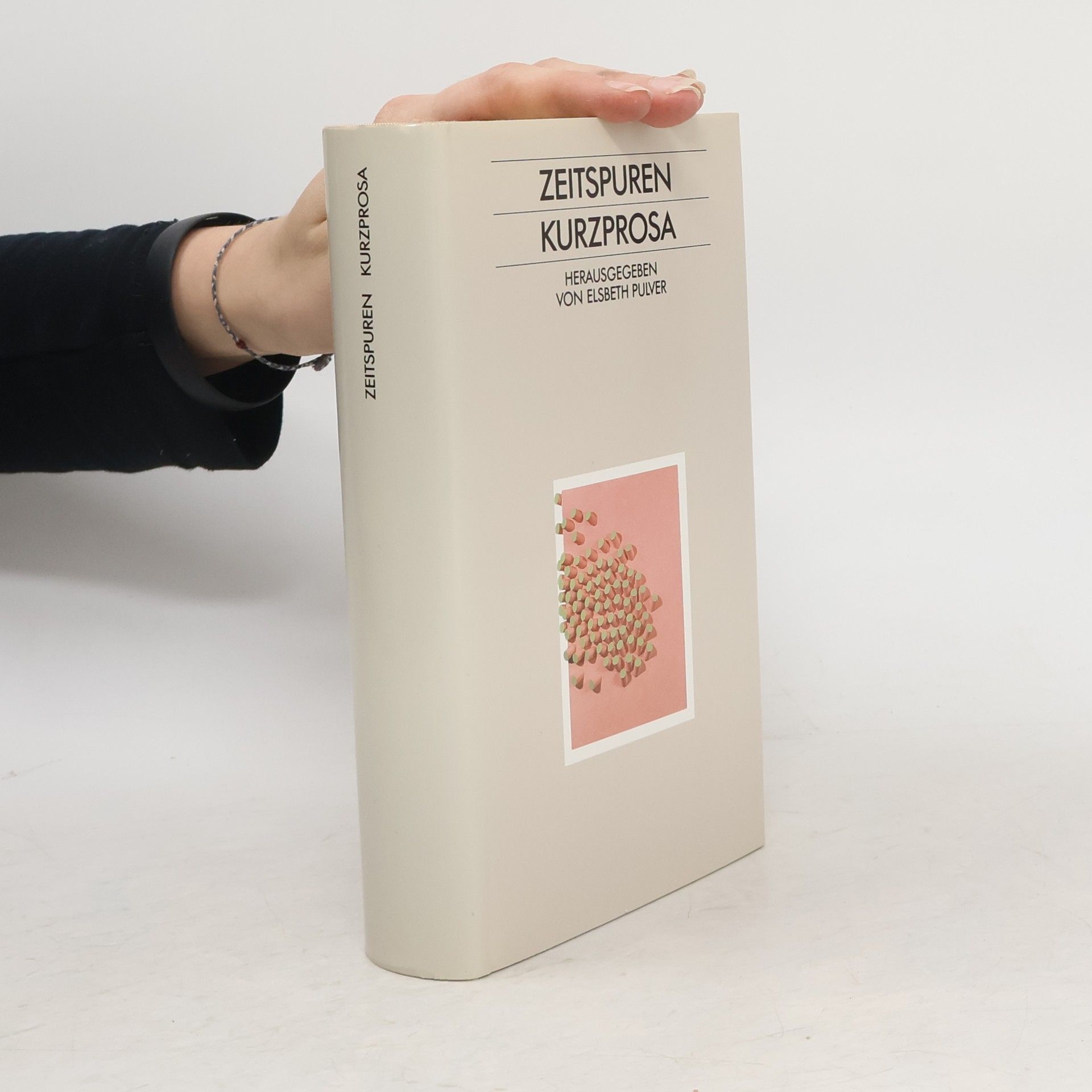 Elsbeth Pulver Kurzprosa