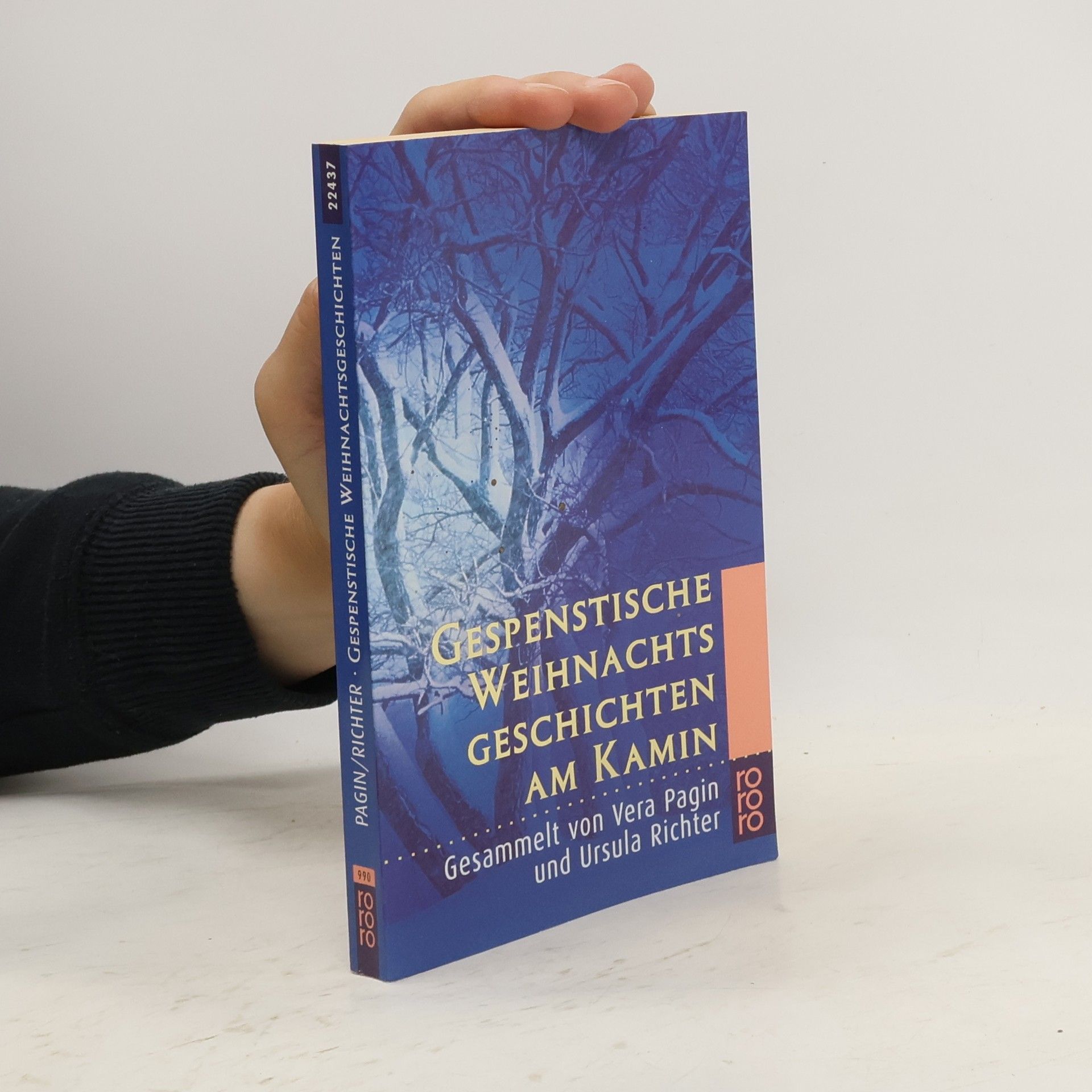 Autores varios Gespenstische Weihnachtsgeschichten am Kamin