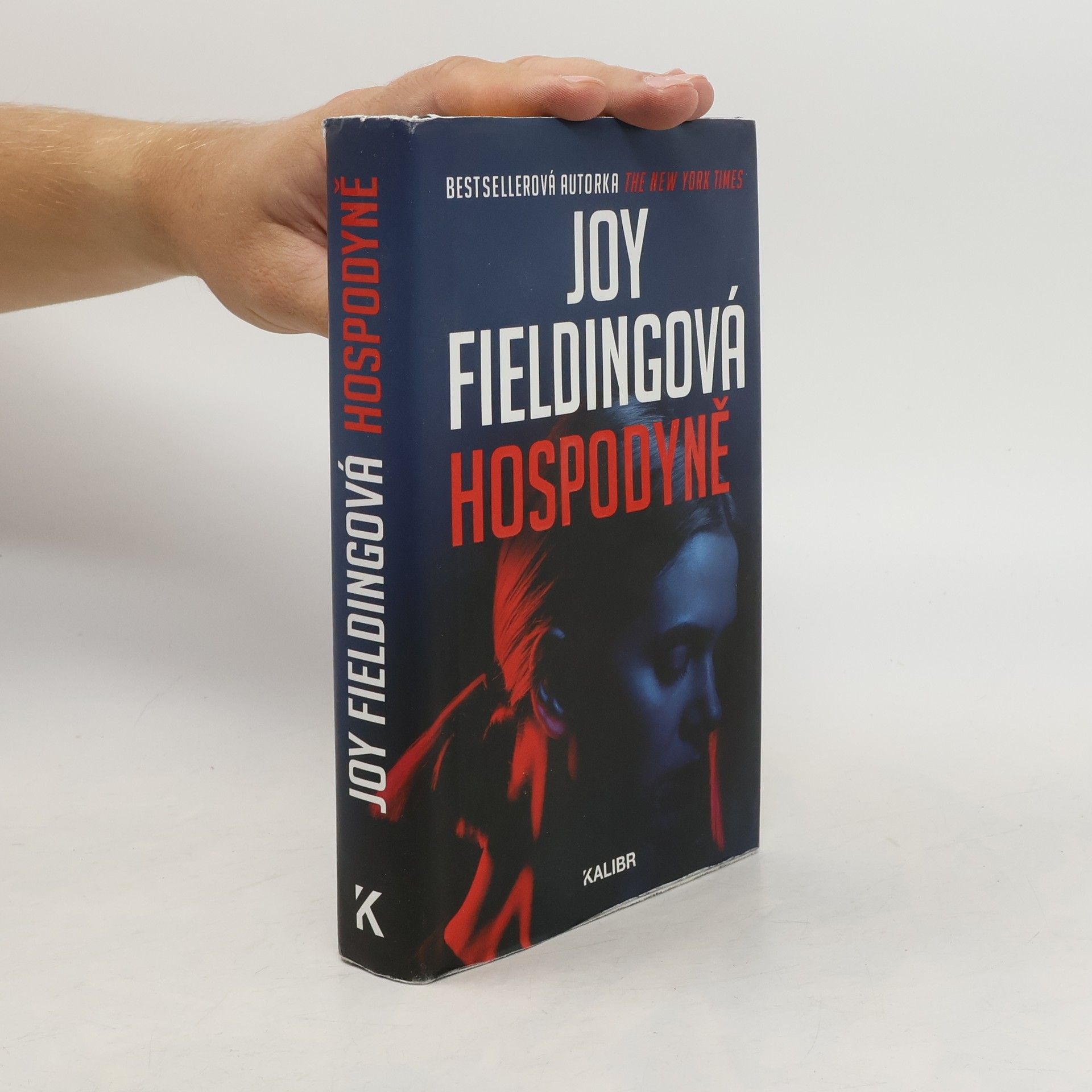 Joy Fielding Hospodyně