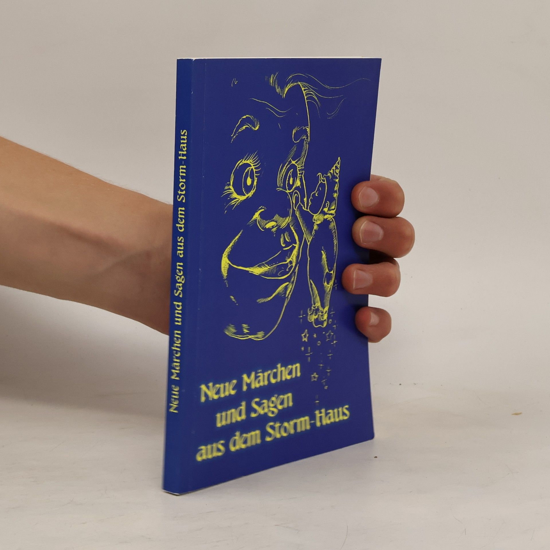 Sebastian Jurczyk Neue Märchen und Sagen aus dem Storm Haus