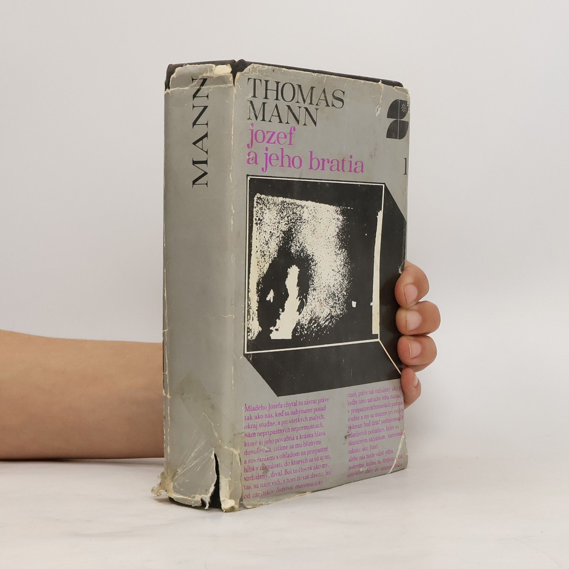 Thomas Mann Jozef a jeho bratia 1