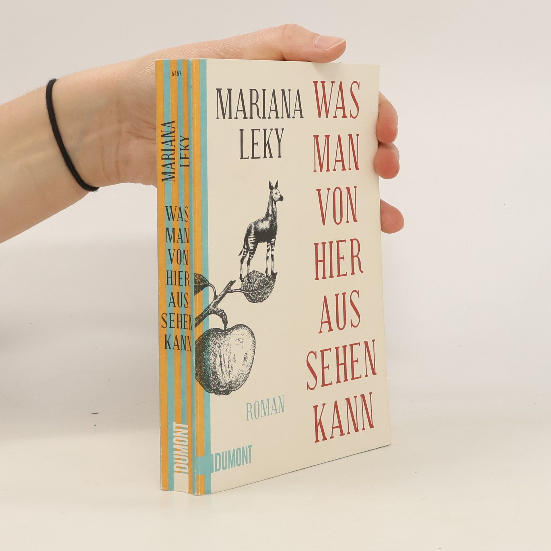 Mariana Leky Was man von hier aus sehen kann