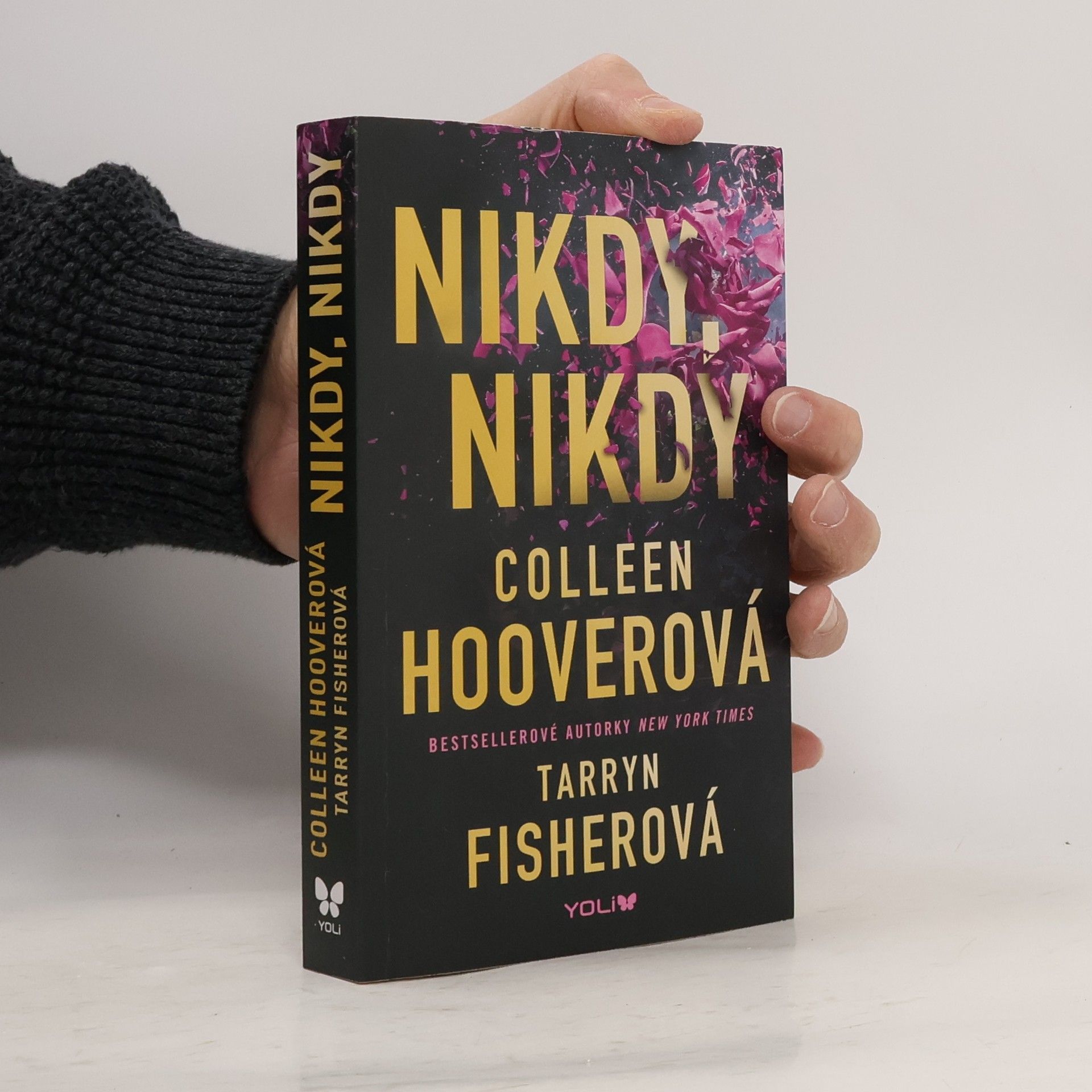 Colleen Hoover Nikdy, nikdy