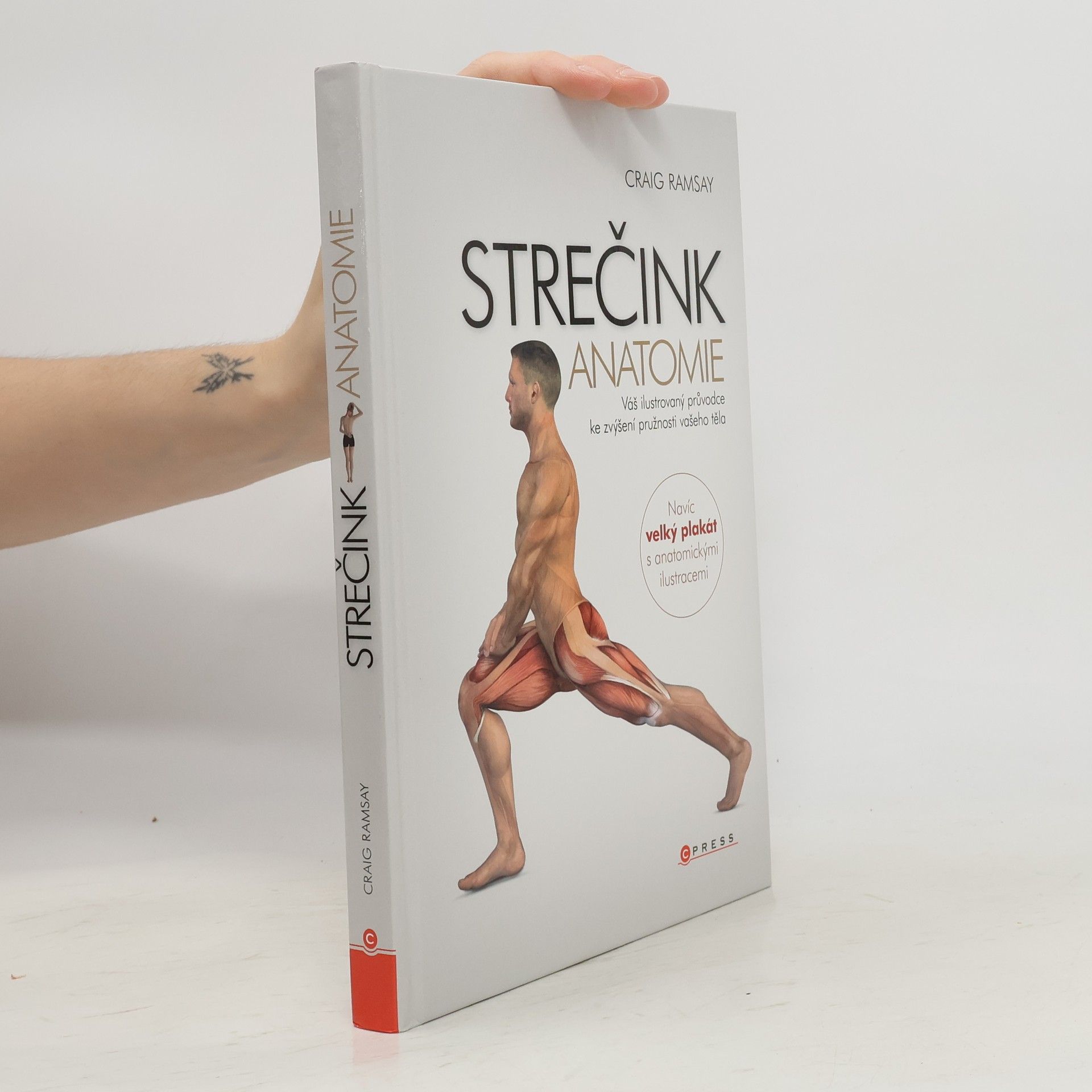 Craig Ramsay Strečink - anatomie