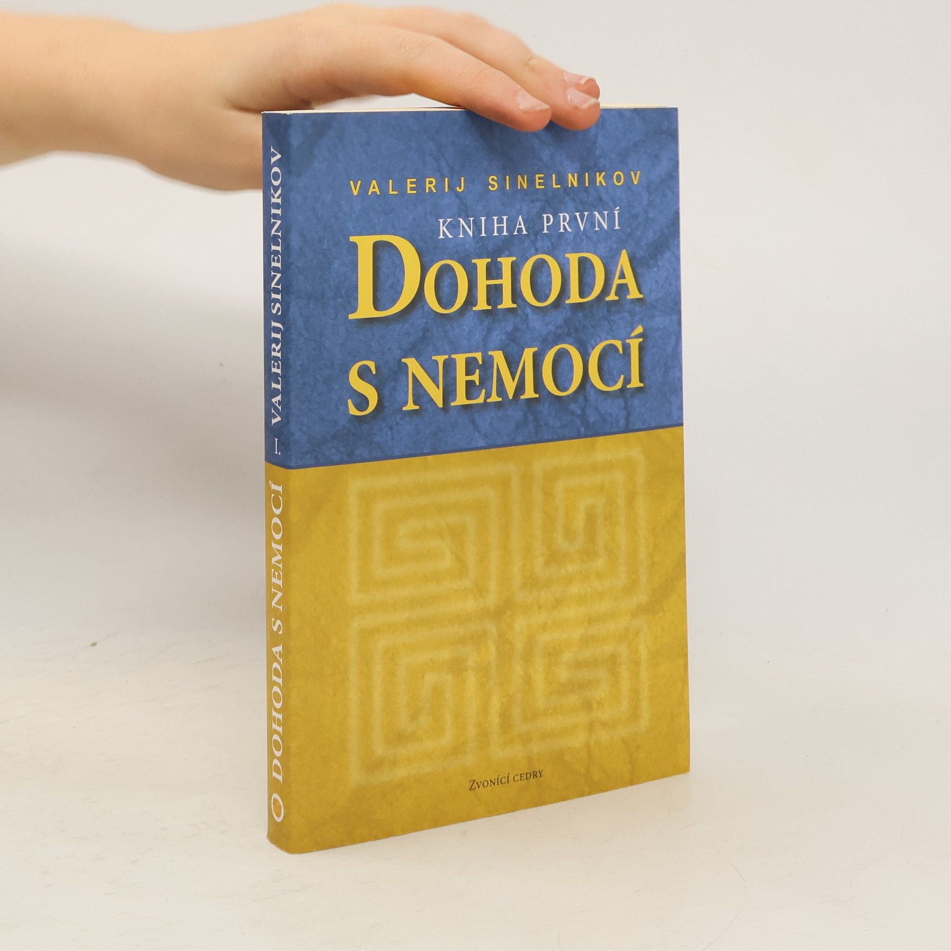 Dohoda s nemocí. Kniha první