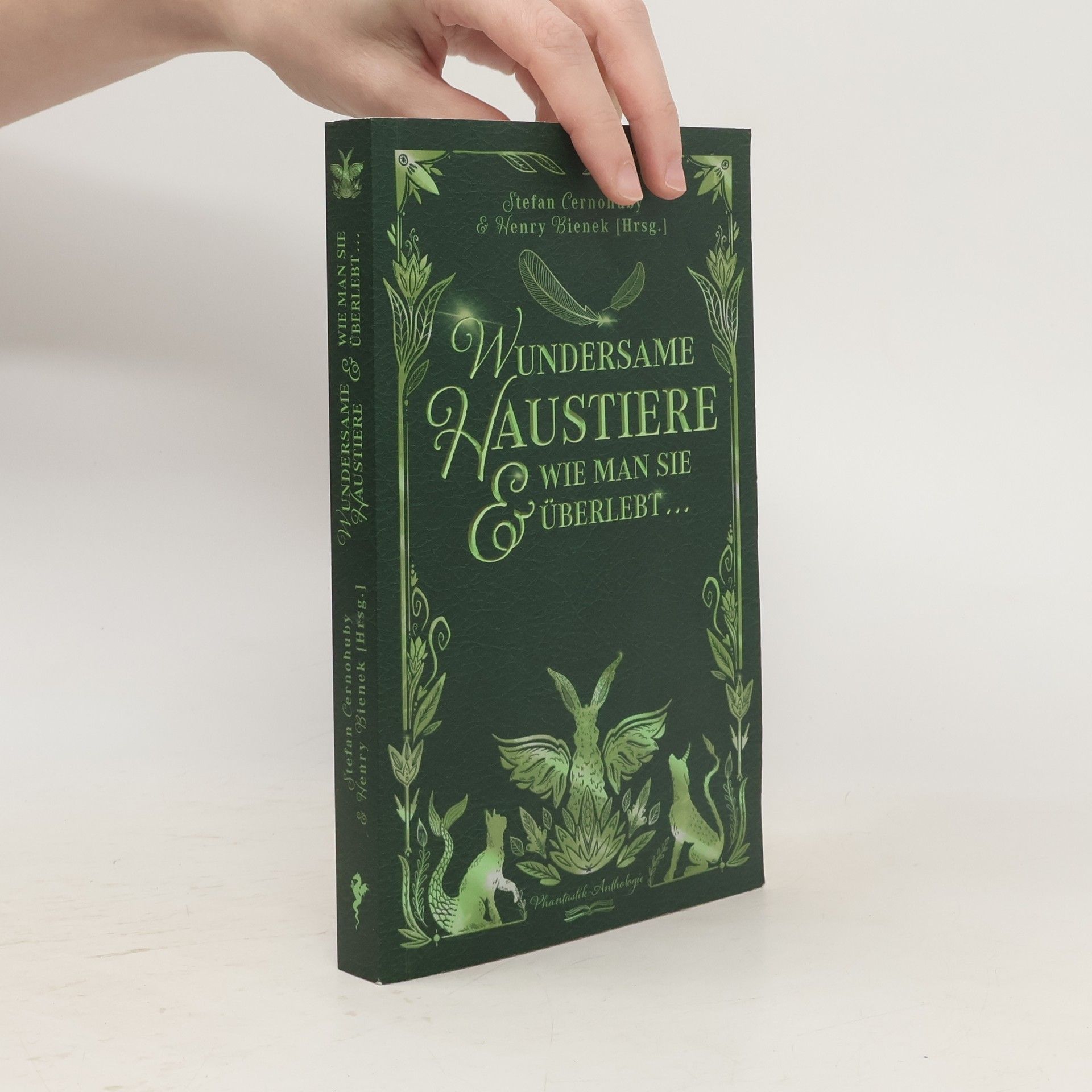 Henry Bienek Wundersame Haustiere und wie man sie überlebt