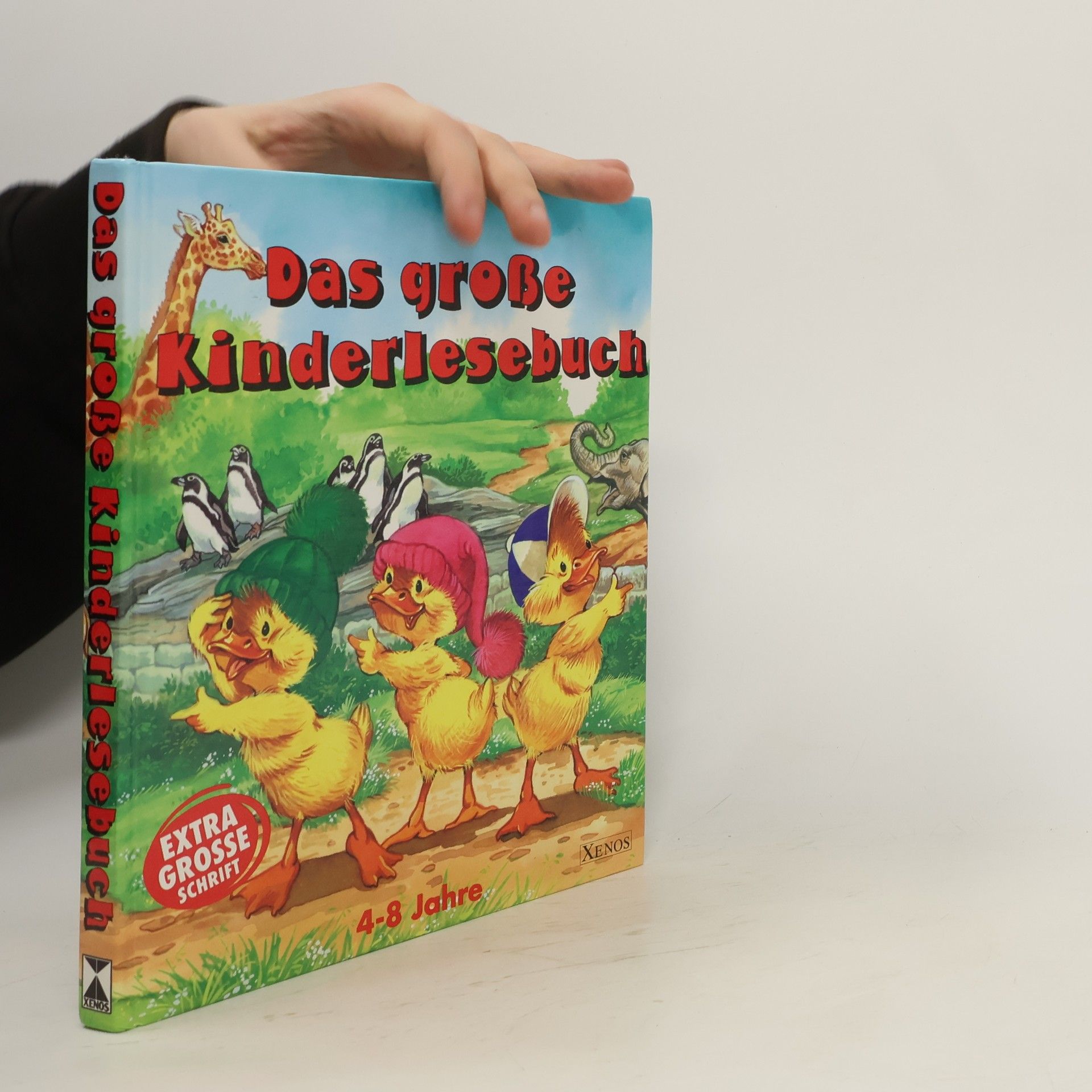 Collectif d'auteurs Das große Kinderlesebuch