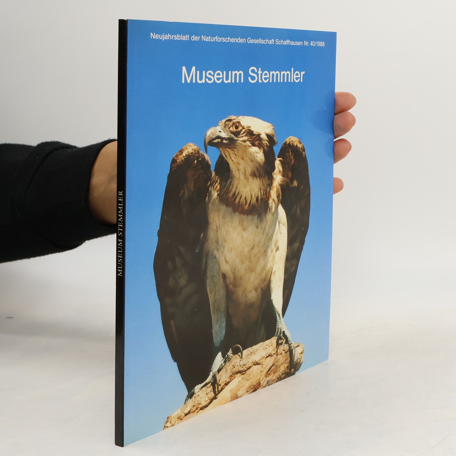 Jürg Cambensy Museum Stemmler