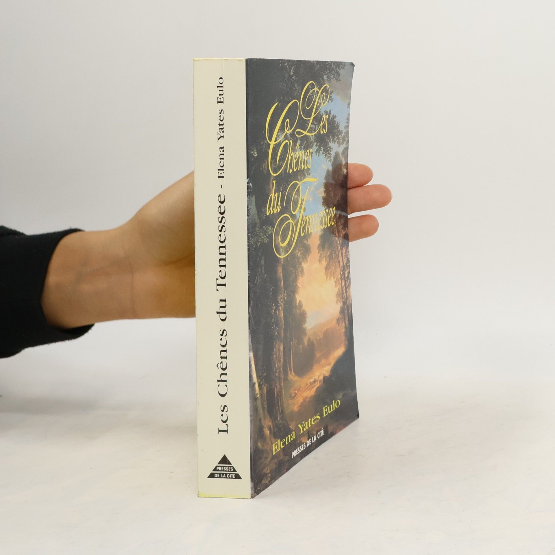 Michel Davet Le sorcier est mort