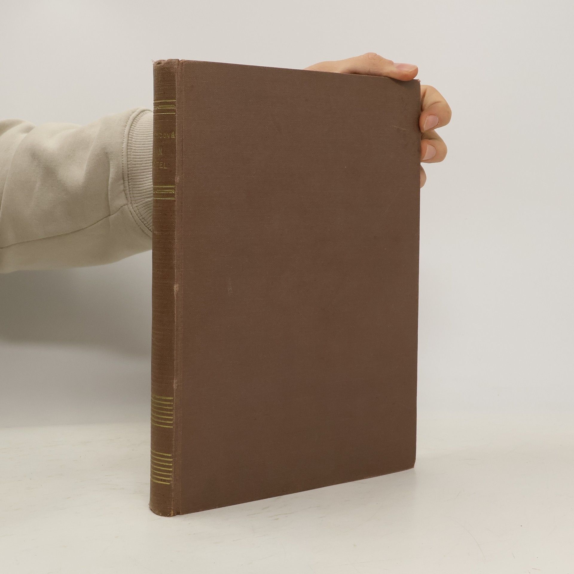 Božena Němcová Pan učitel a jiné povídky