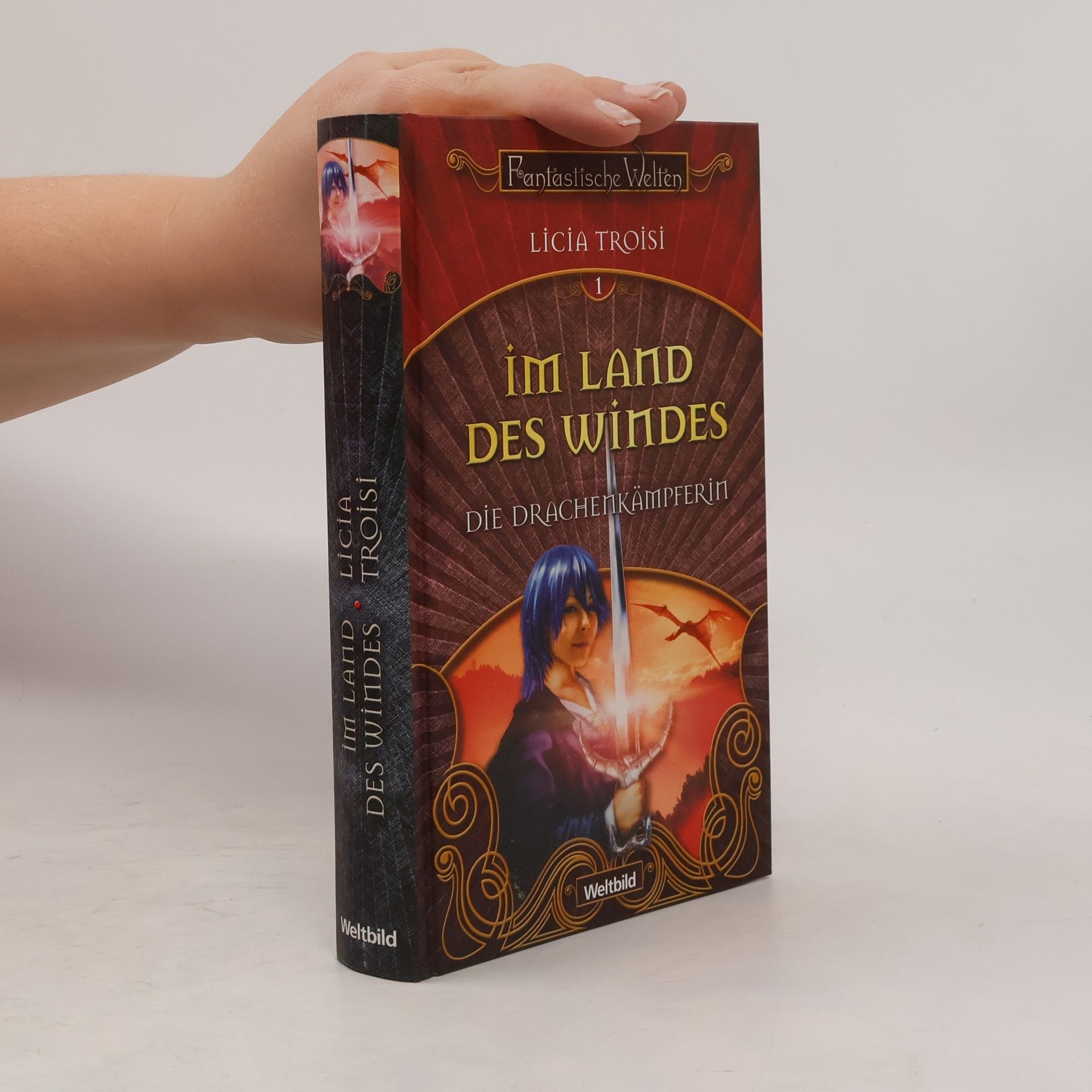 Licia Troisi Die Drachenkämpferin. Im Land des Windes