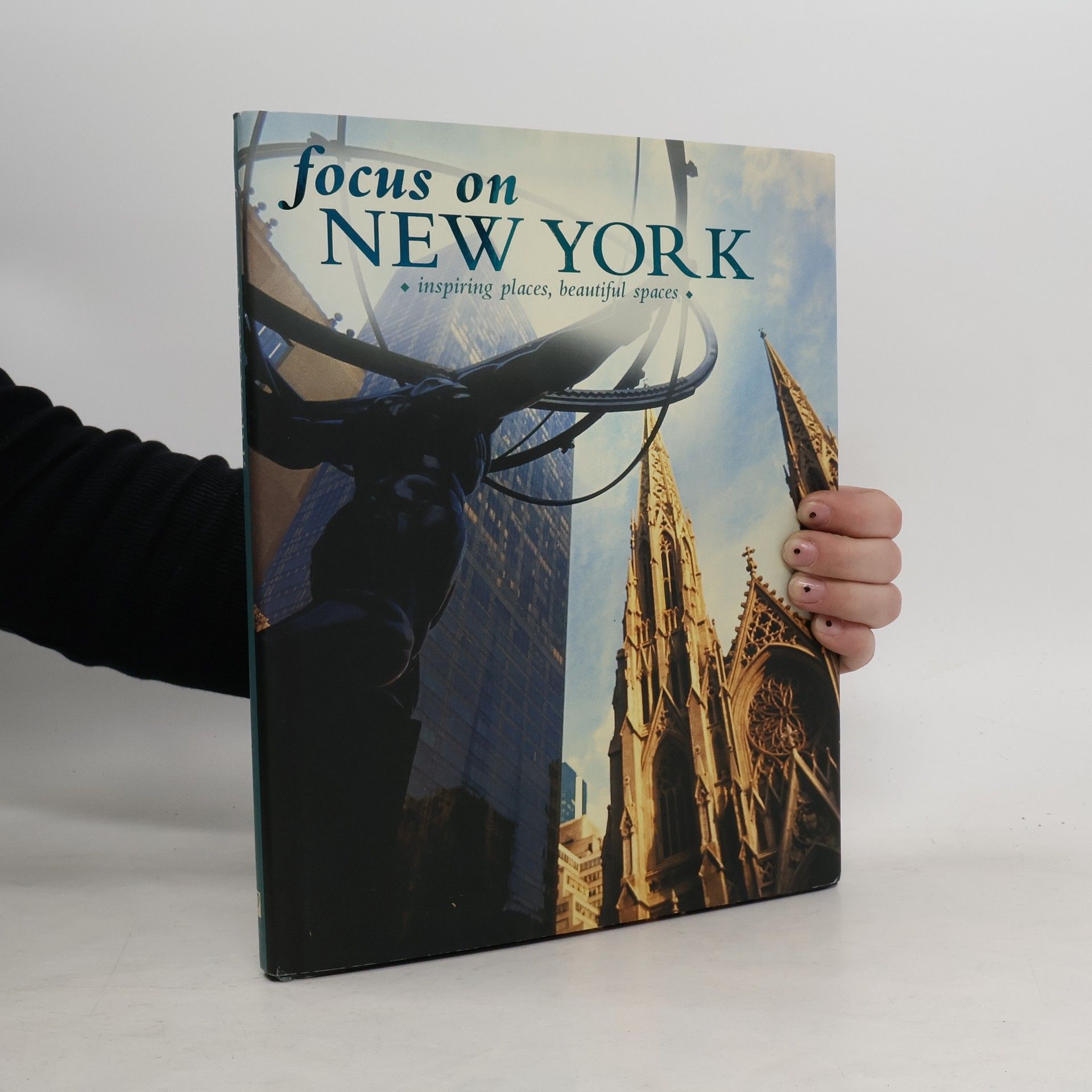 Kolektiv autorů Focus on New York