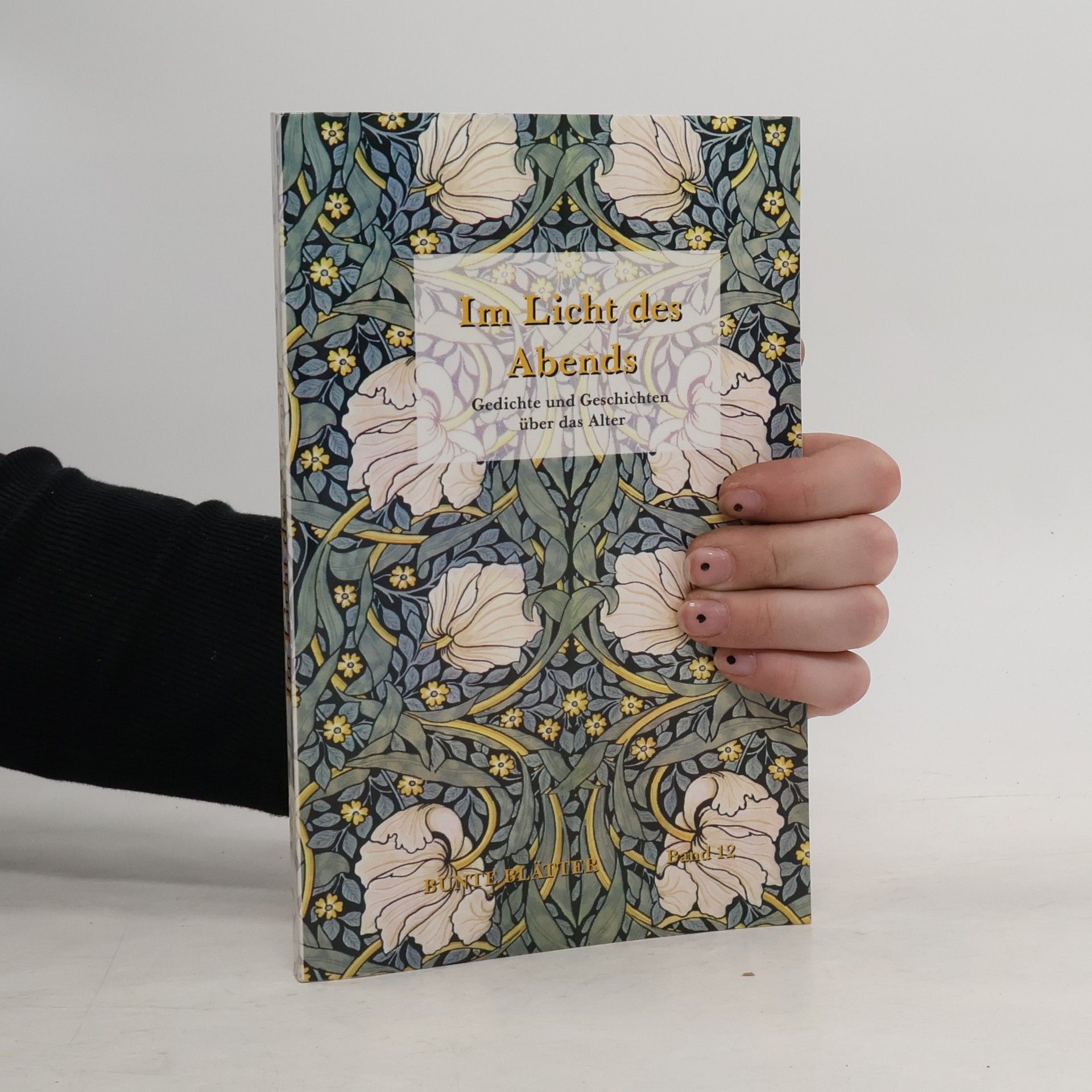 Bianca Blessing Im Licht des Abends