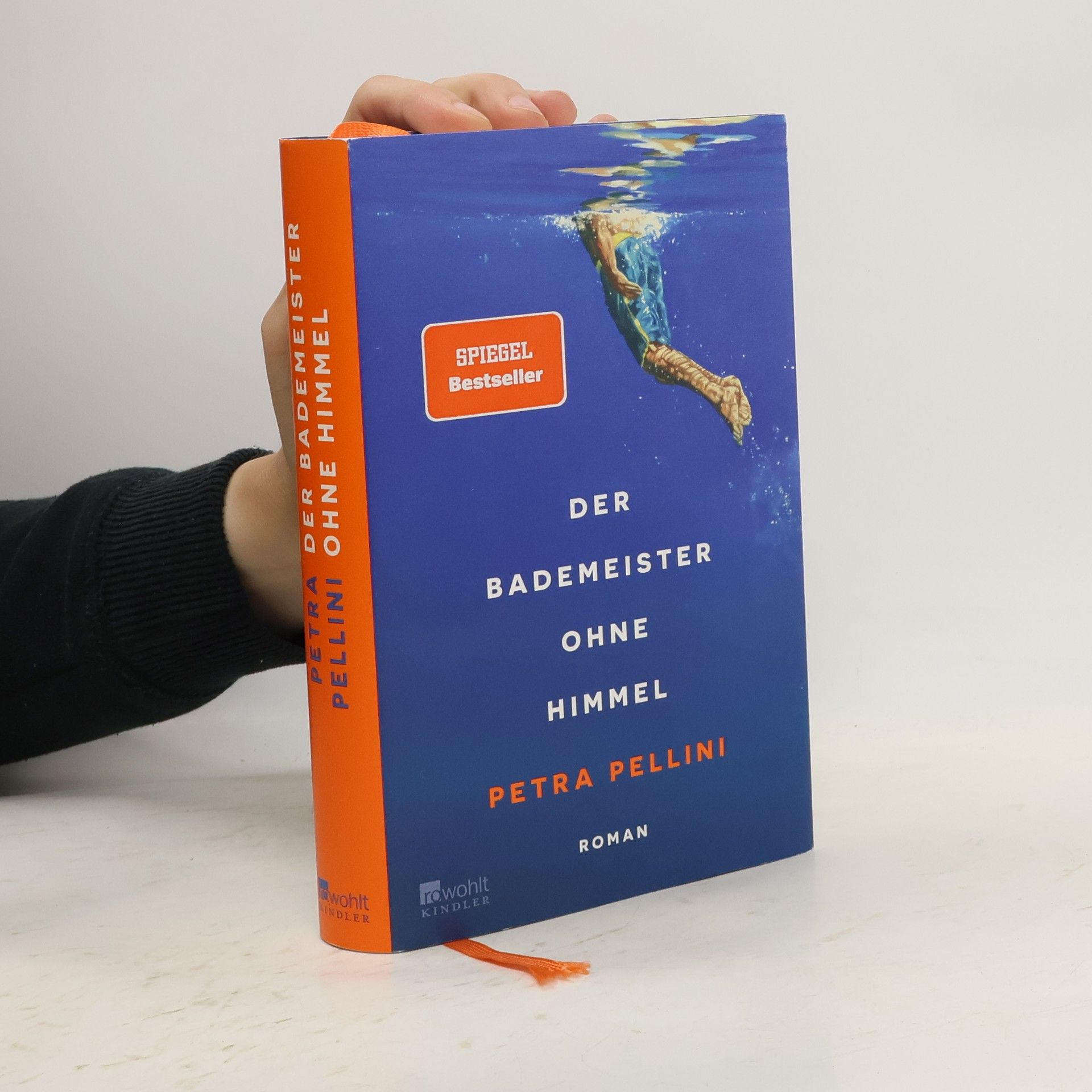 Petra Pellini Der Bademeister ohne Himmel