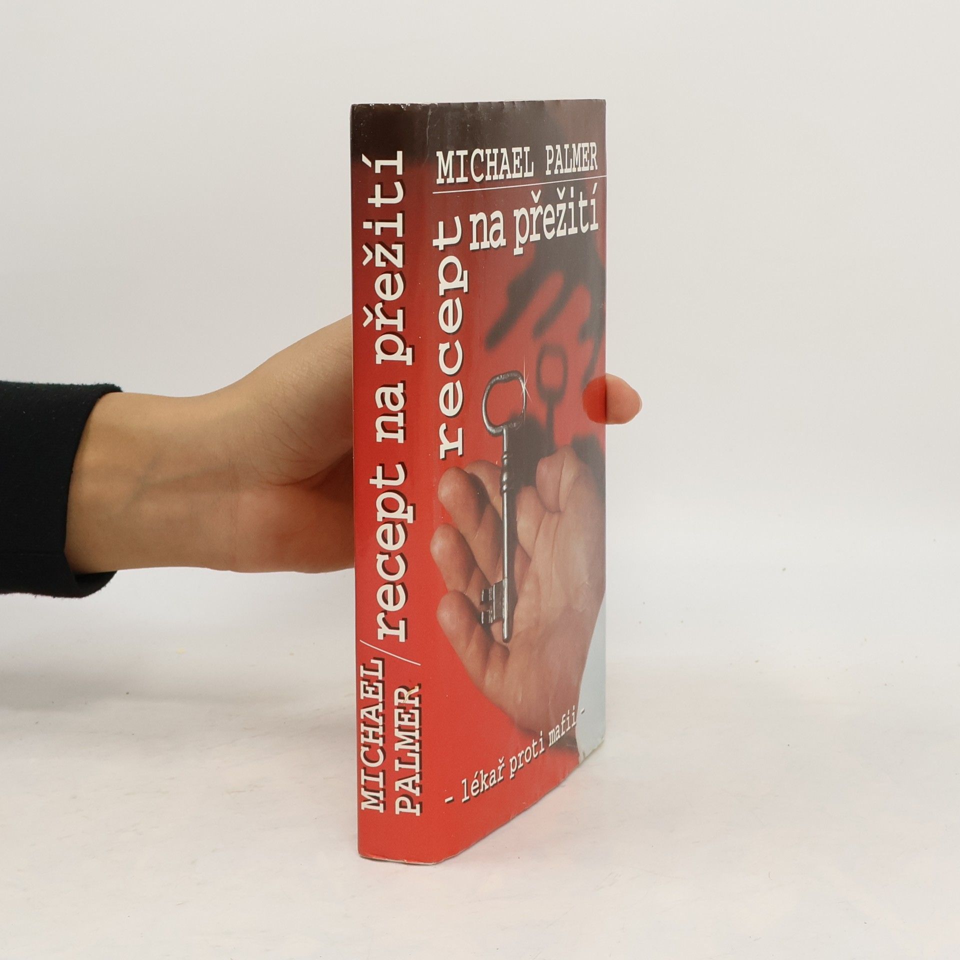 Michael Palmer Recept na přežití