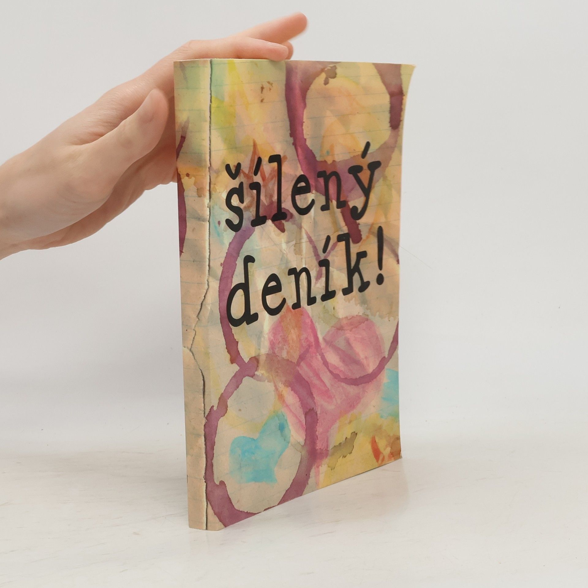 Marie Hohlová Šílený deník!