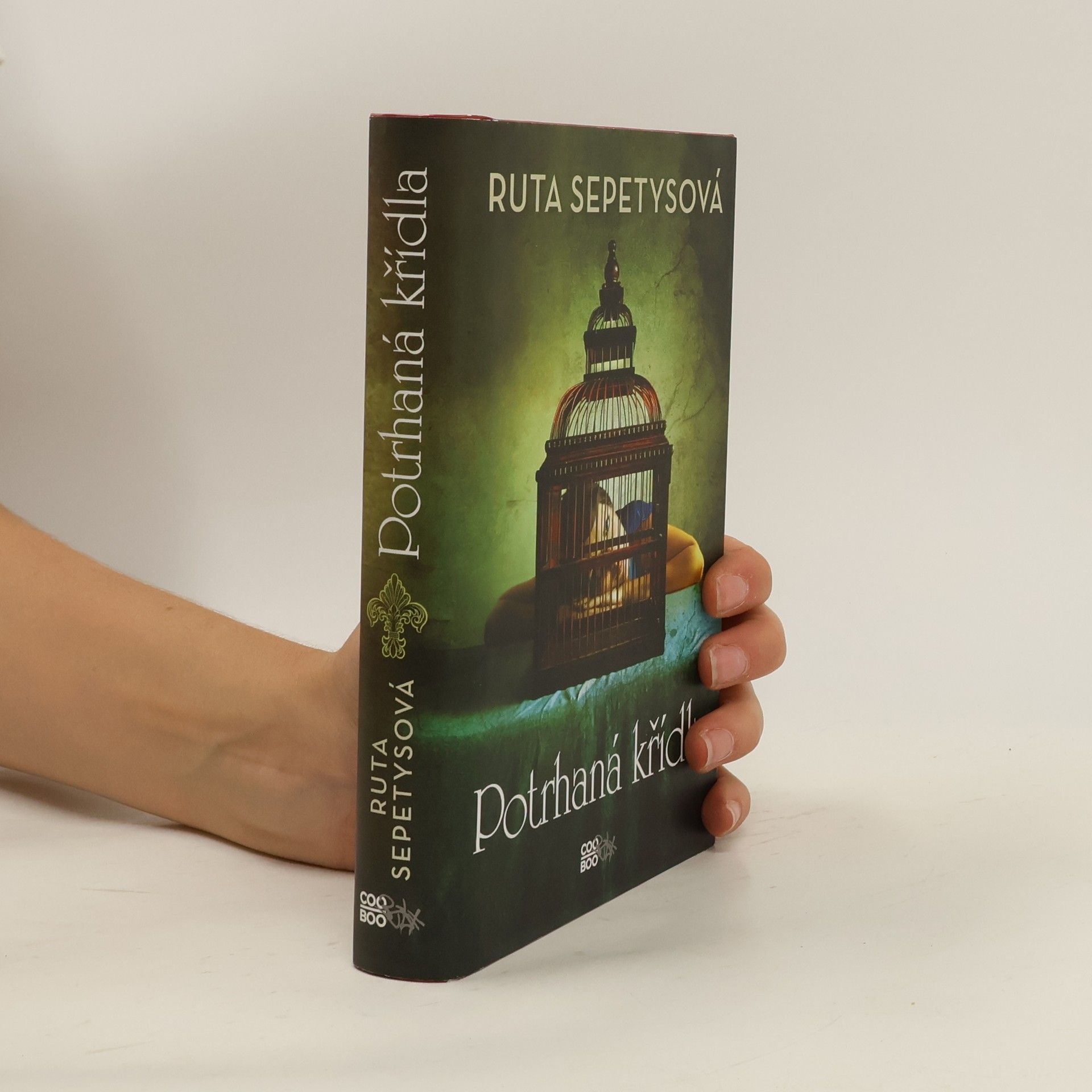 Ruta Sepetys Potrhaná křídla