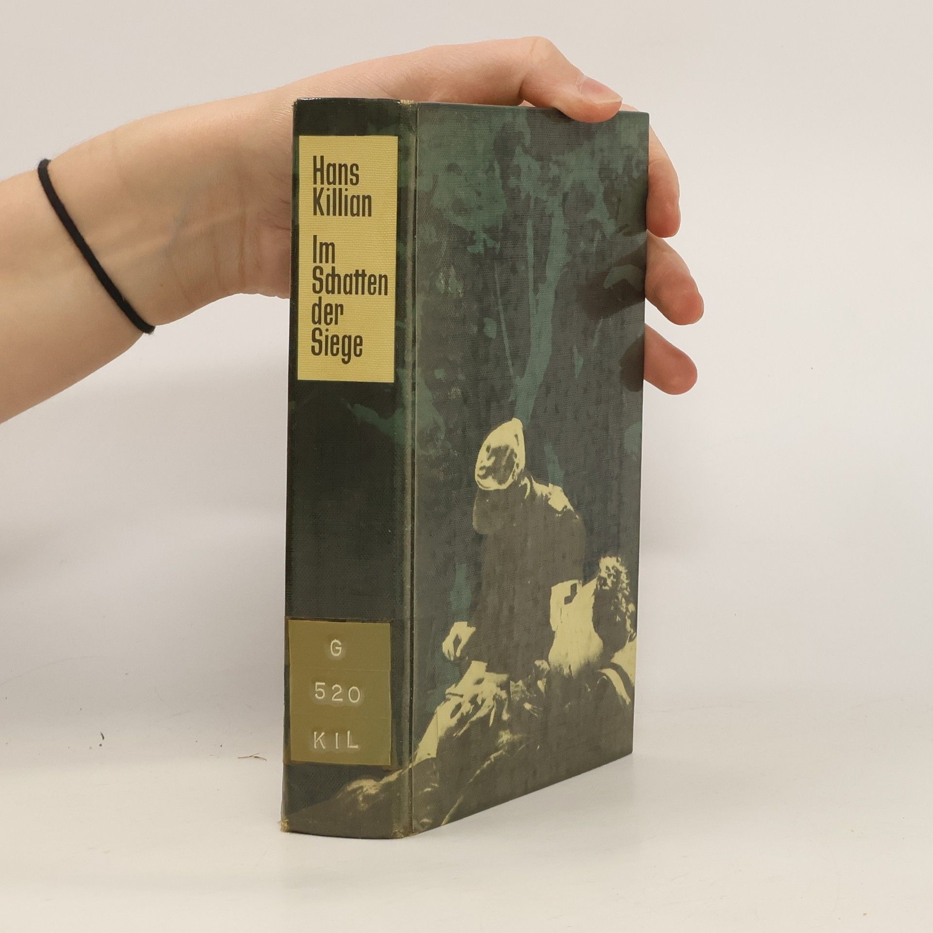 Im Schatten der Siege