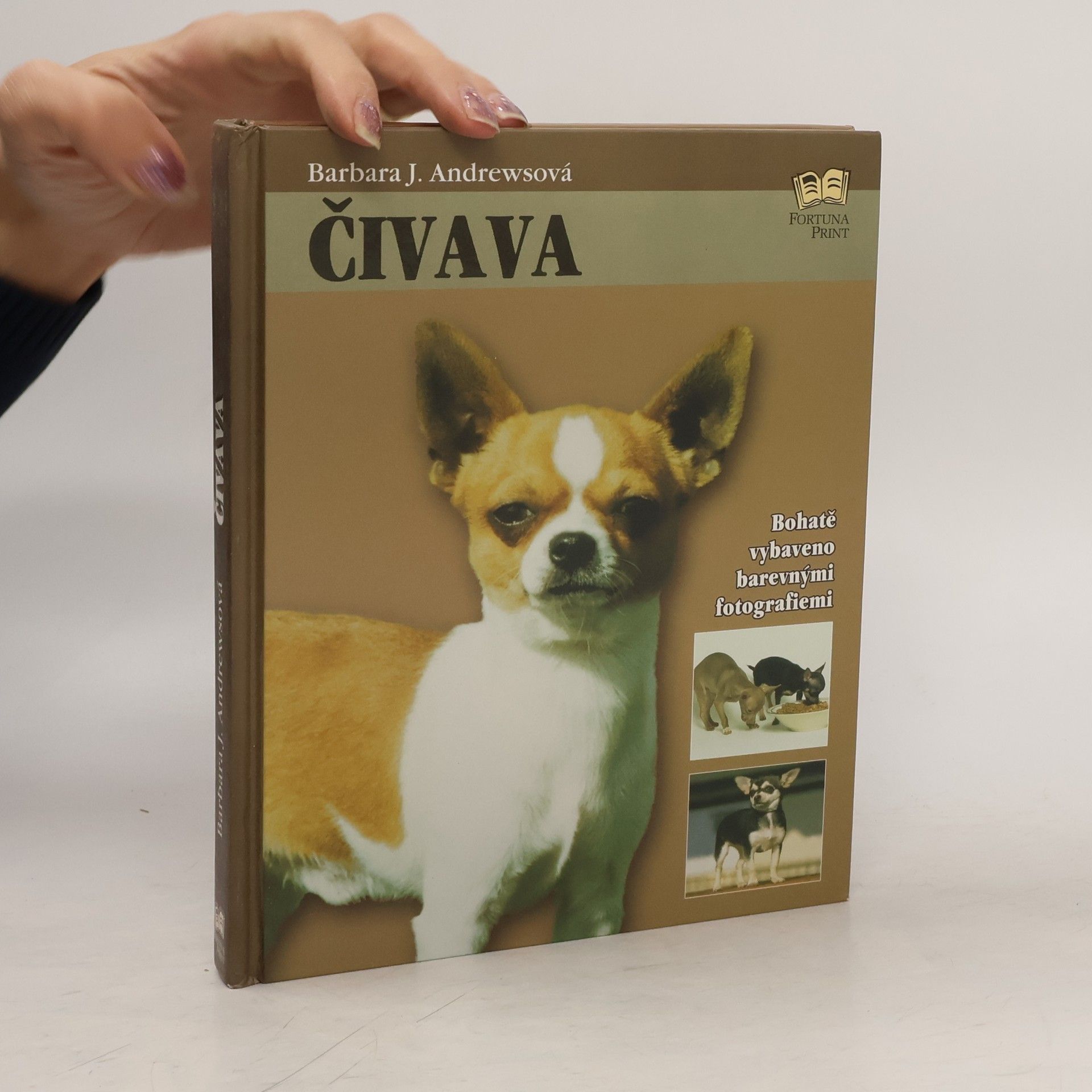 Barbara J. Andrews Čivava