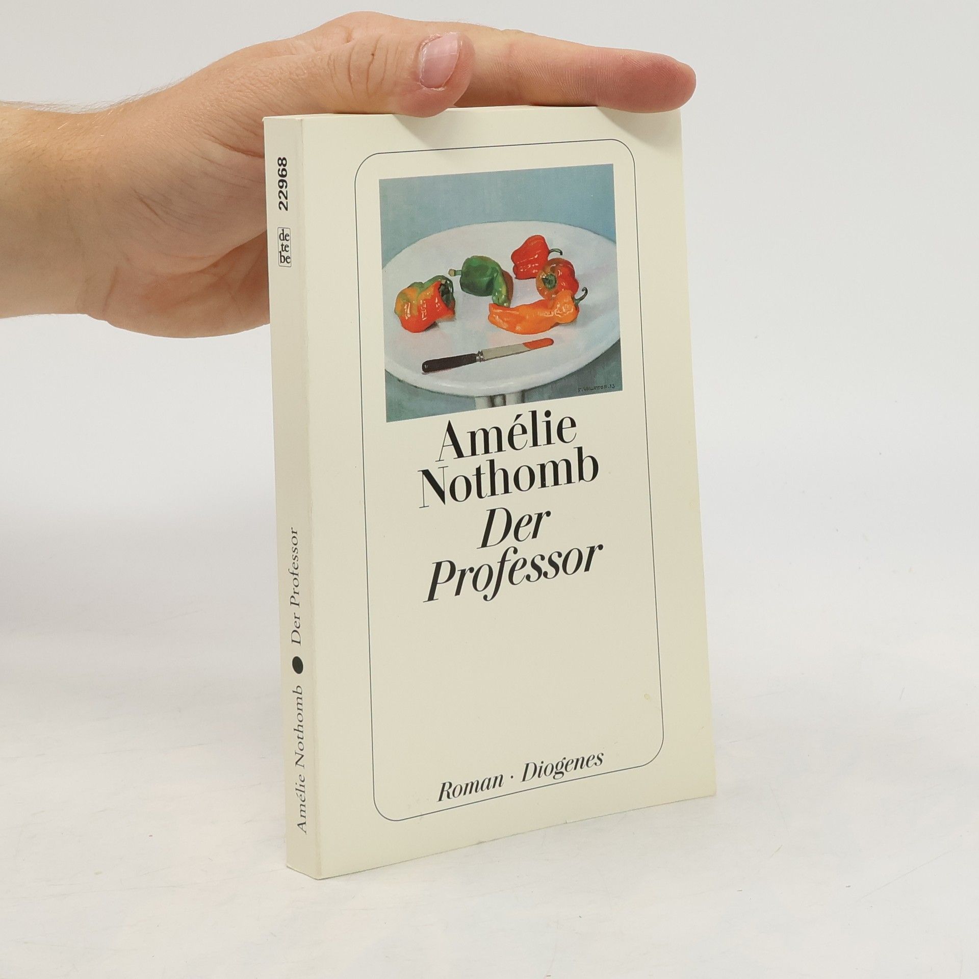 Amélie Nothomb Der Professor