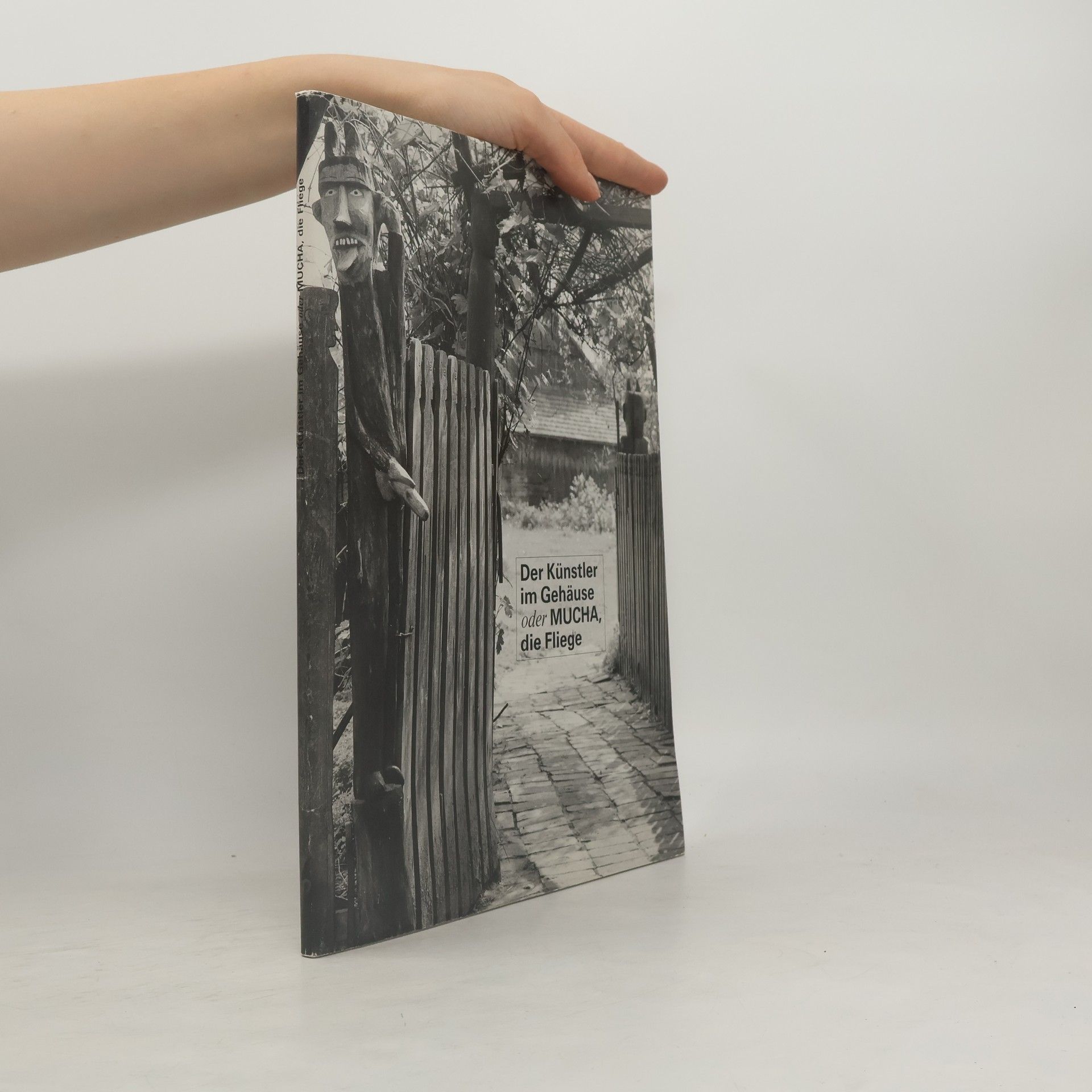 Szcepan Mucha Der Künstler im Gehäuse oder Mucha, die Fliege
