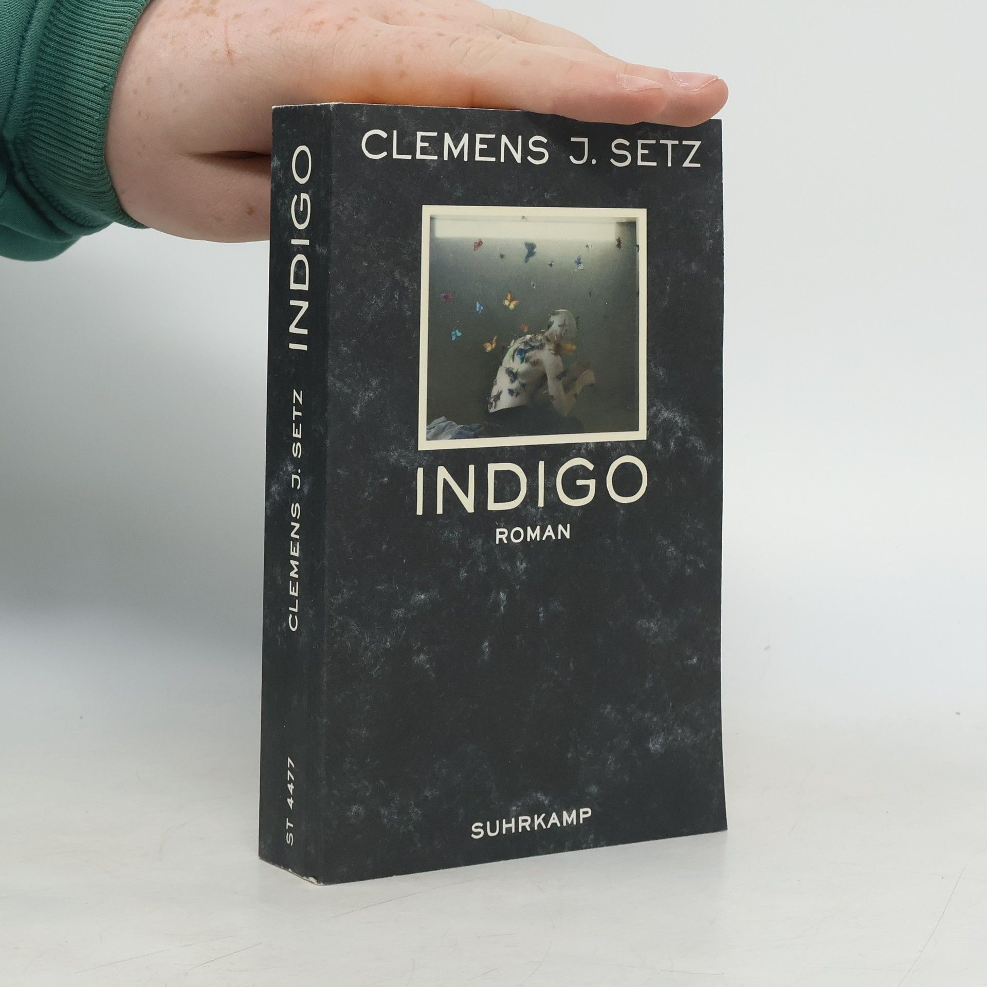 Clemens J. Setz Indigo