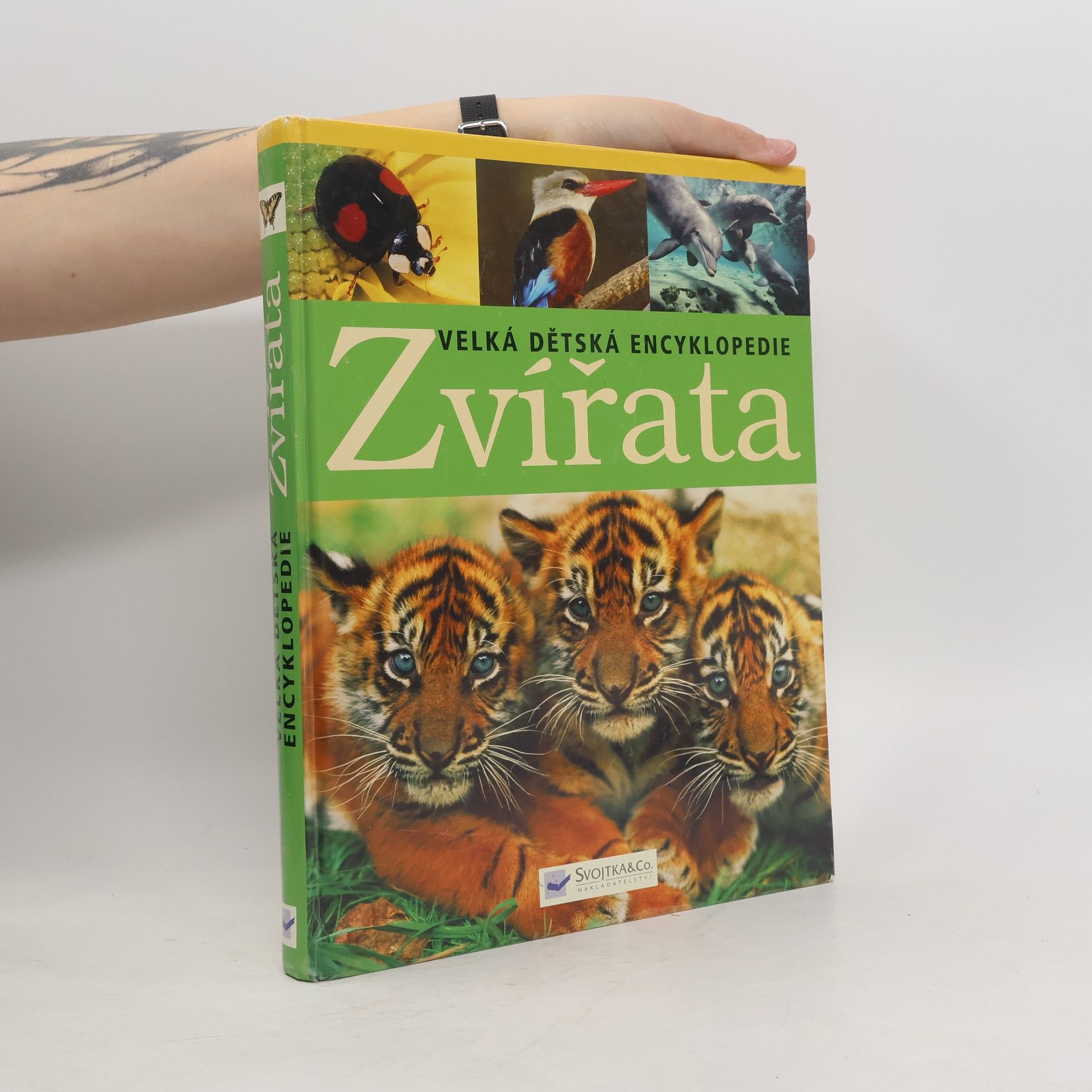 Karen McGhee Zvířata: Velká dětská encyklopedie