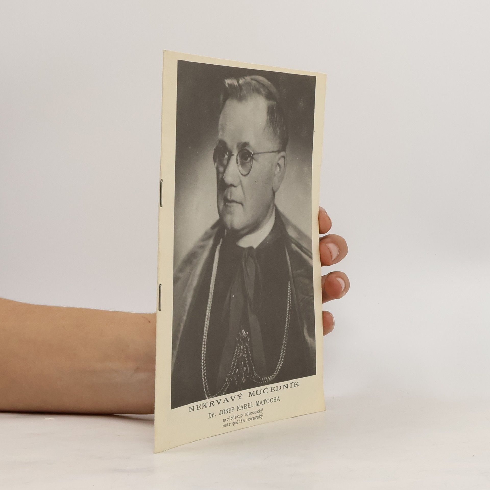 Autorenkollektiv Nekrvavý mučedník