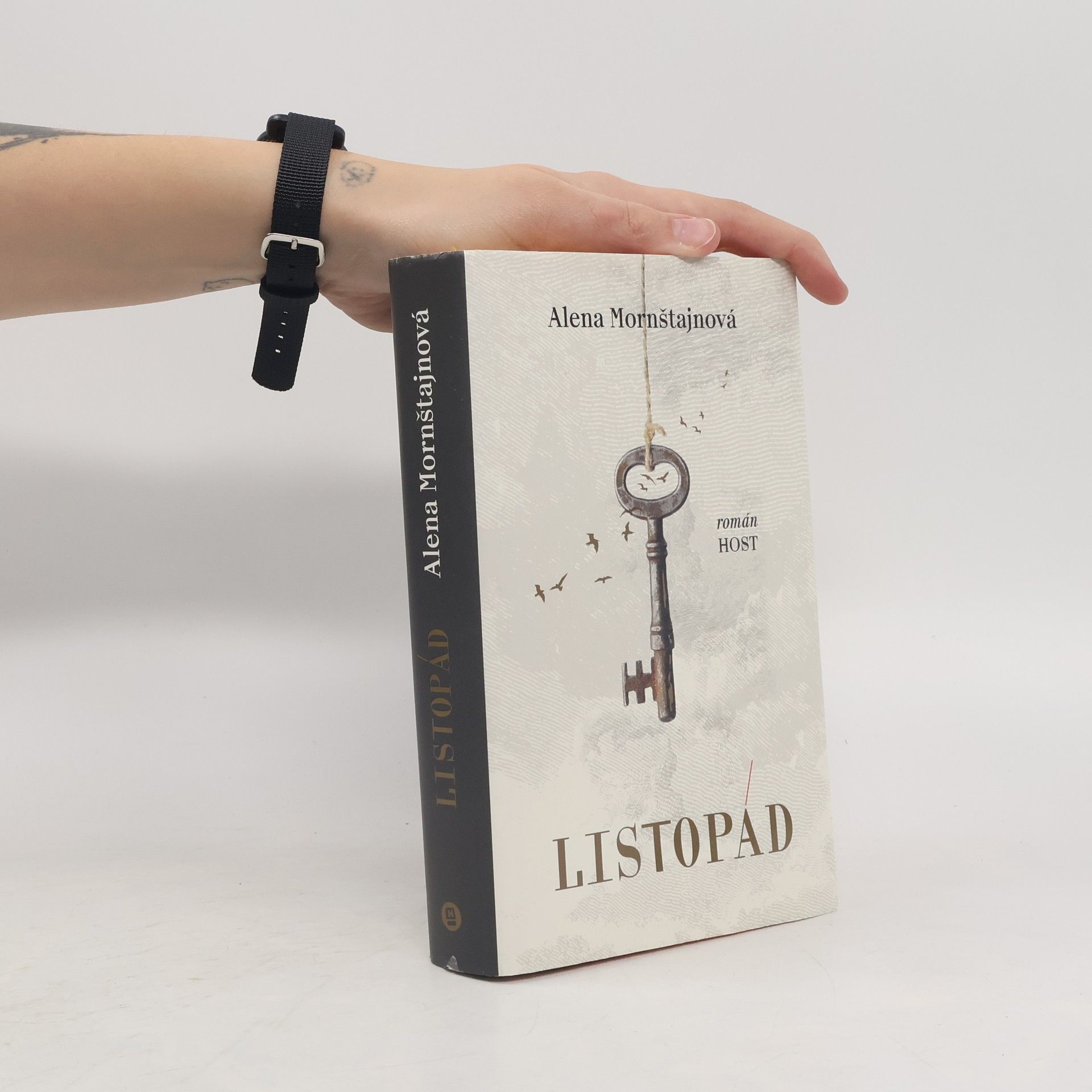 Alena Mornštajnová Listopád