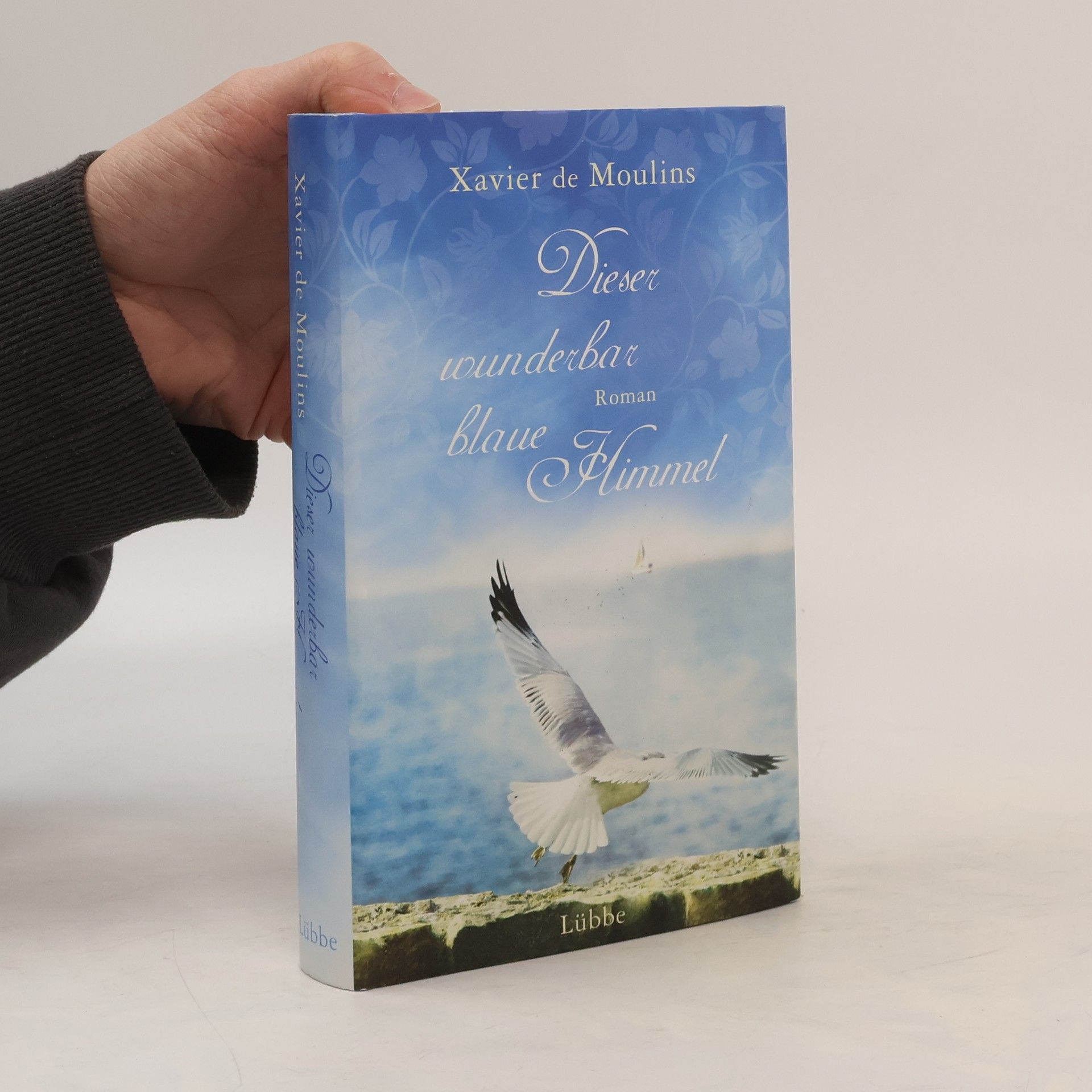 Xavier de Moulins Dieser wunderbar blaue Himmel