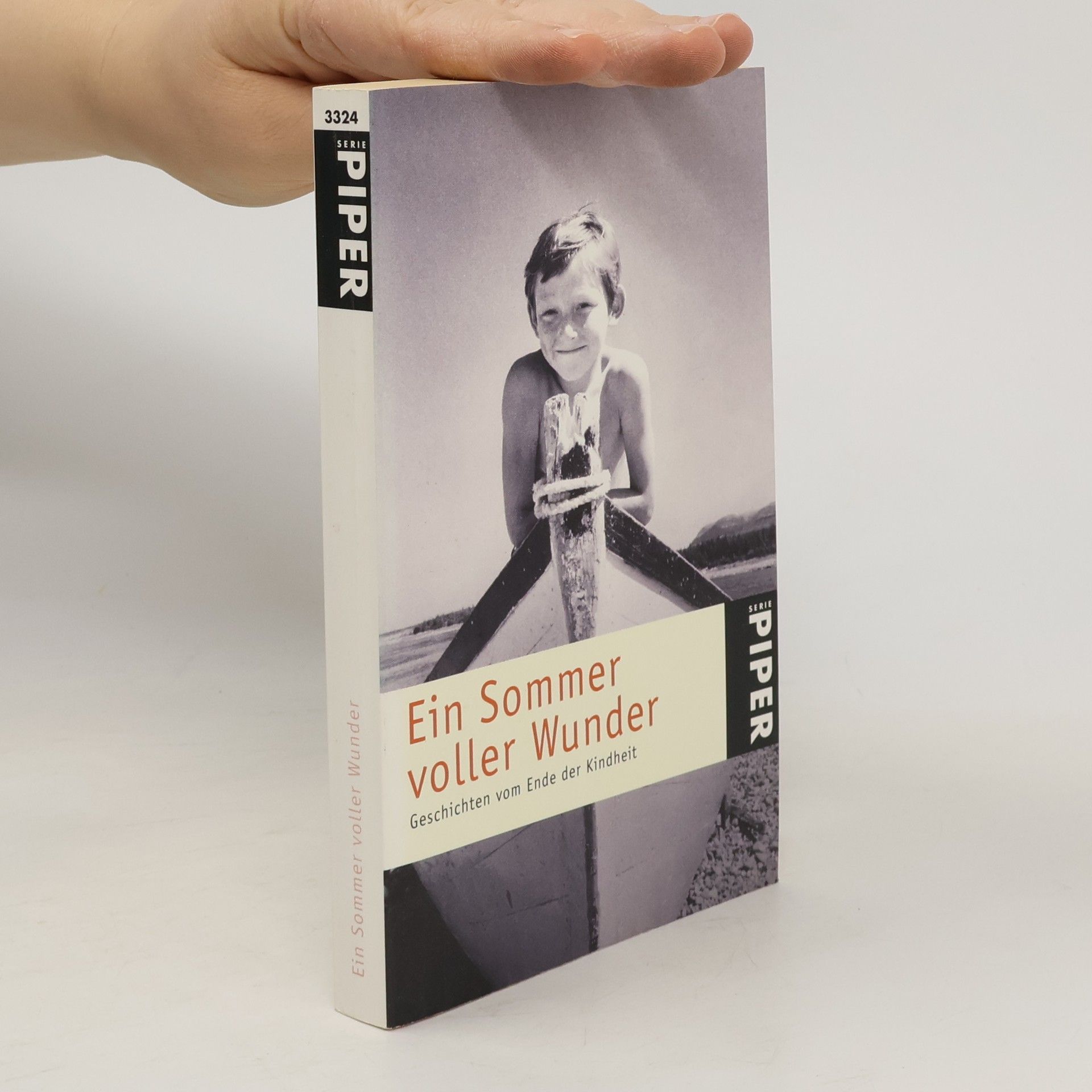 Susanne Aeckerle Ein Sommer voller Wunder