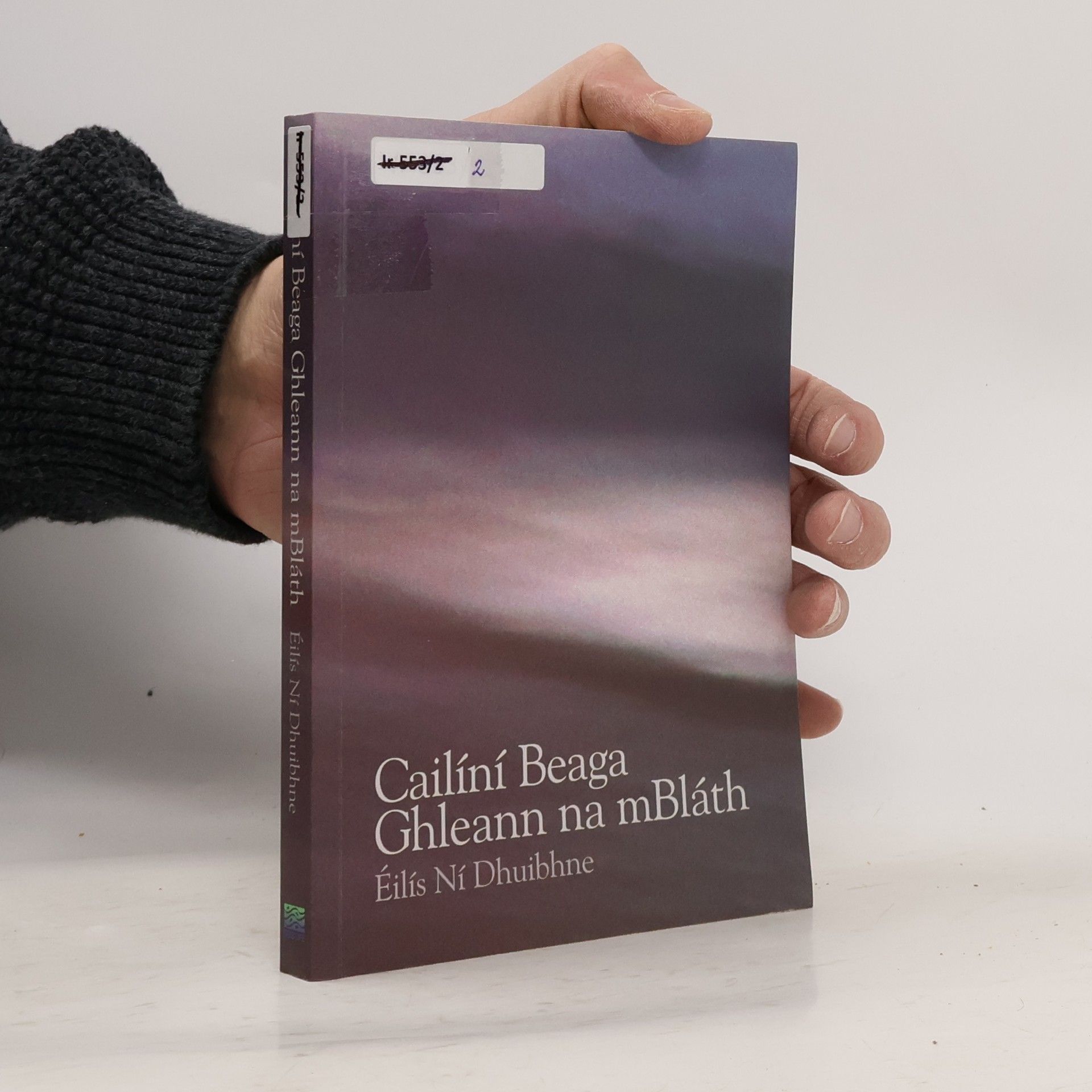 Cailíní beaga Ghleann na mBláth