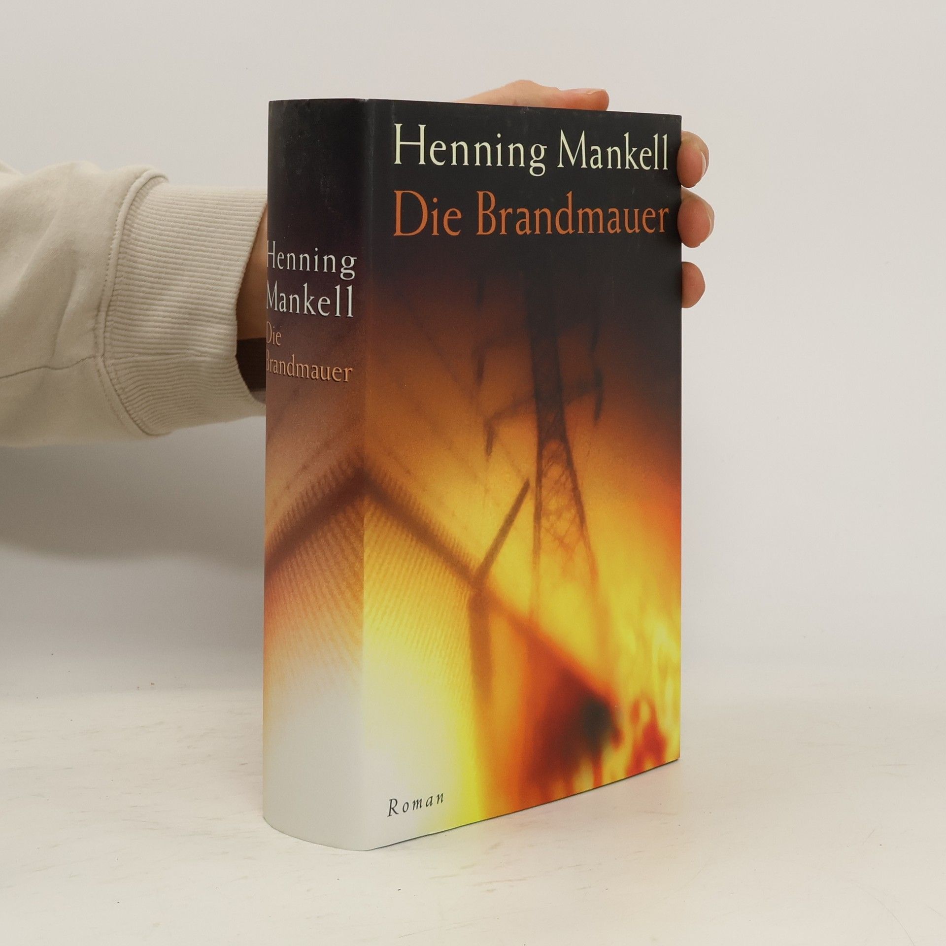 Henning Mankell Die Brandmauer