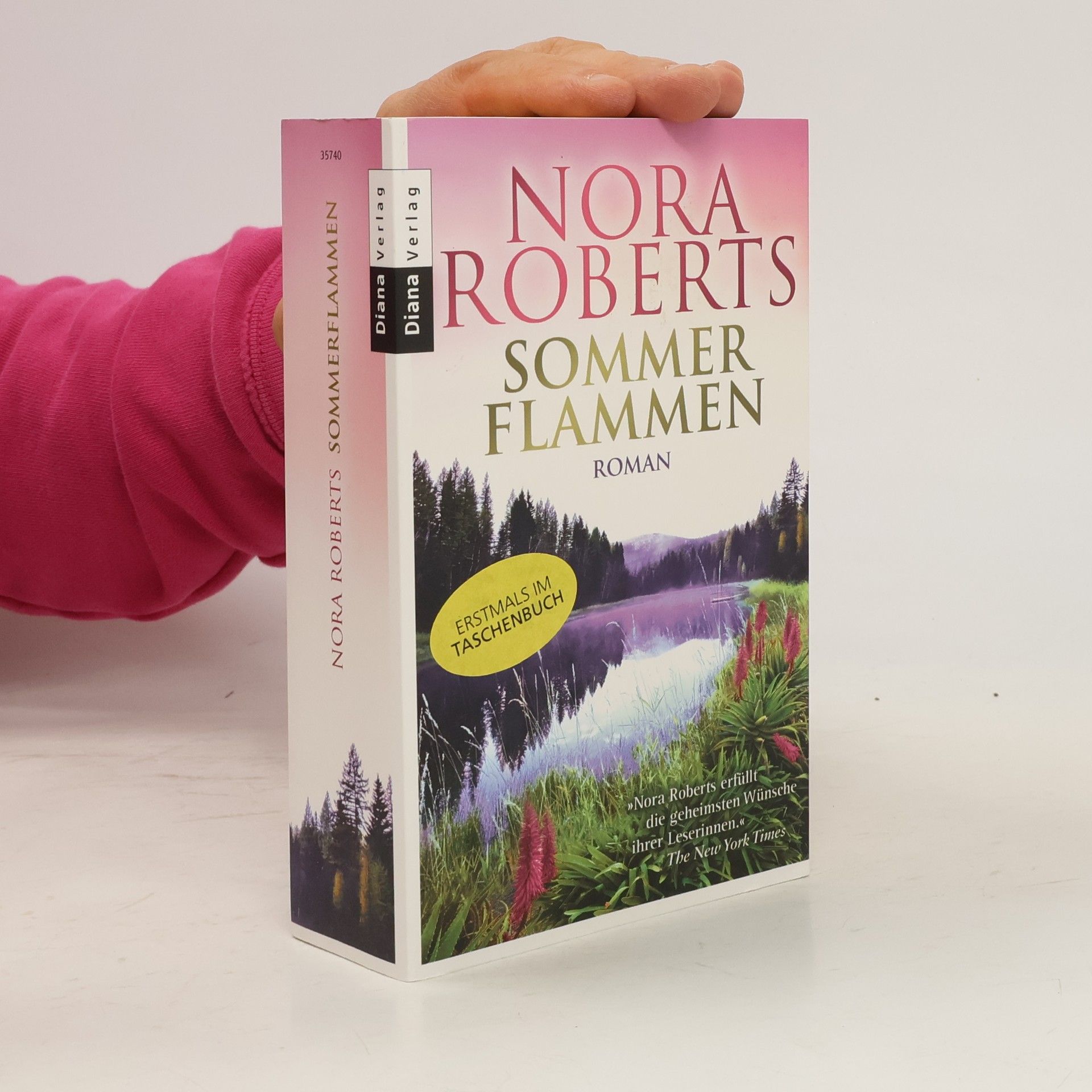 Nora Roberts Sommer Flammen