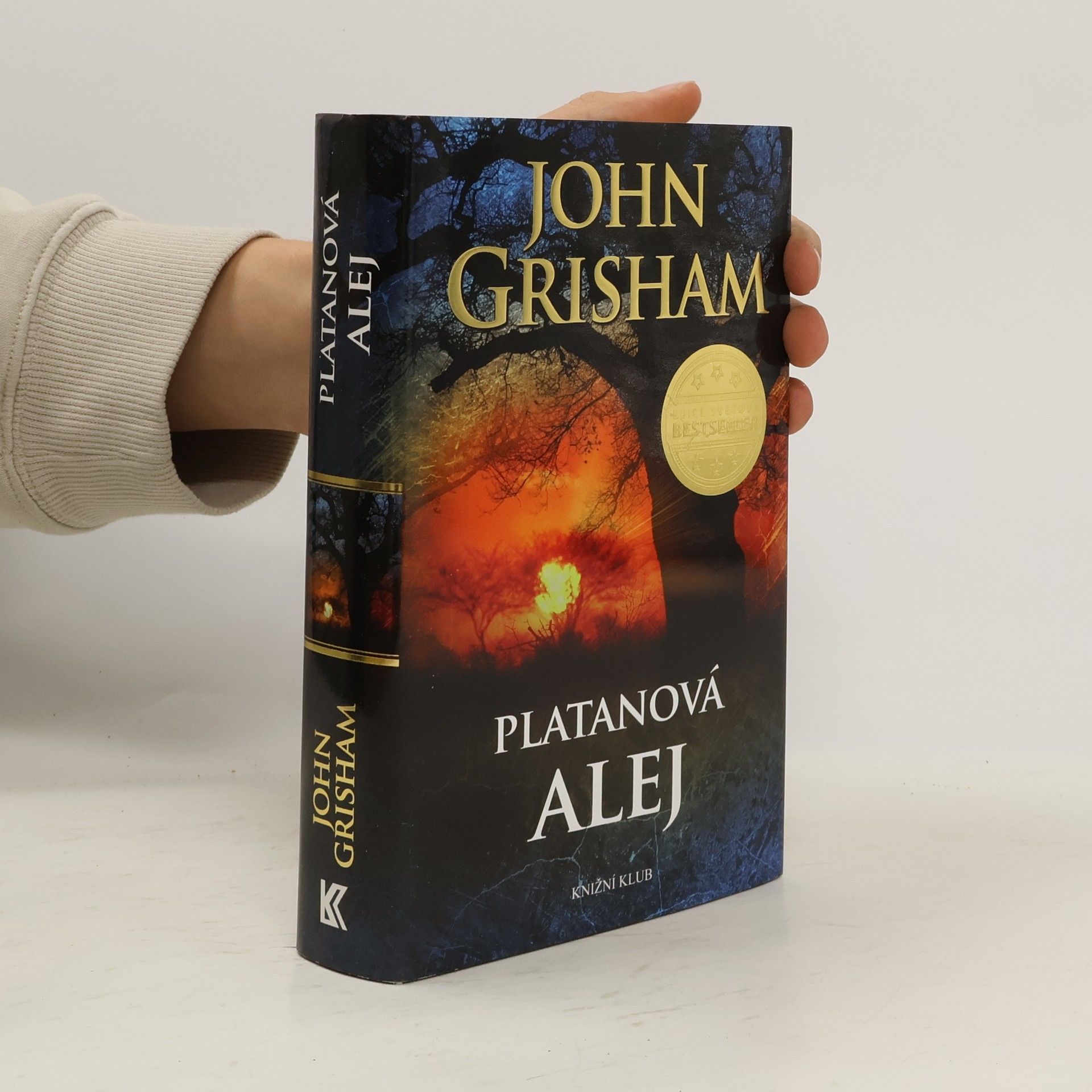 John Grisham Platanová alej