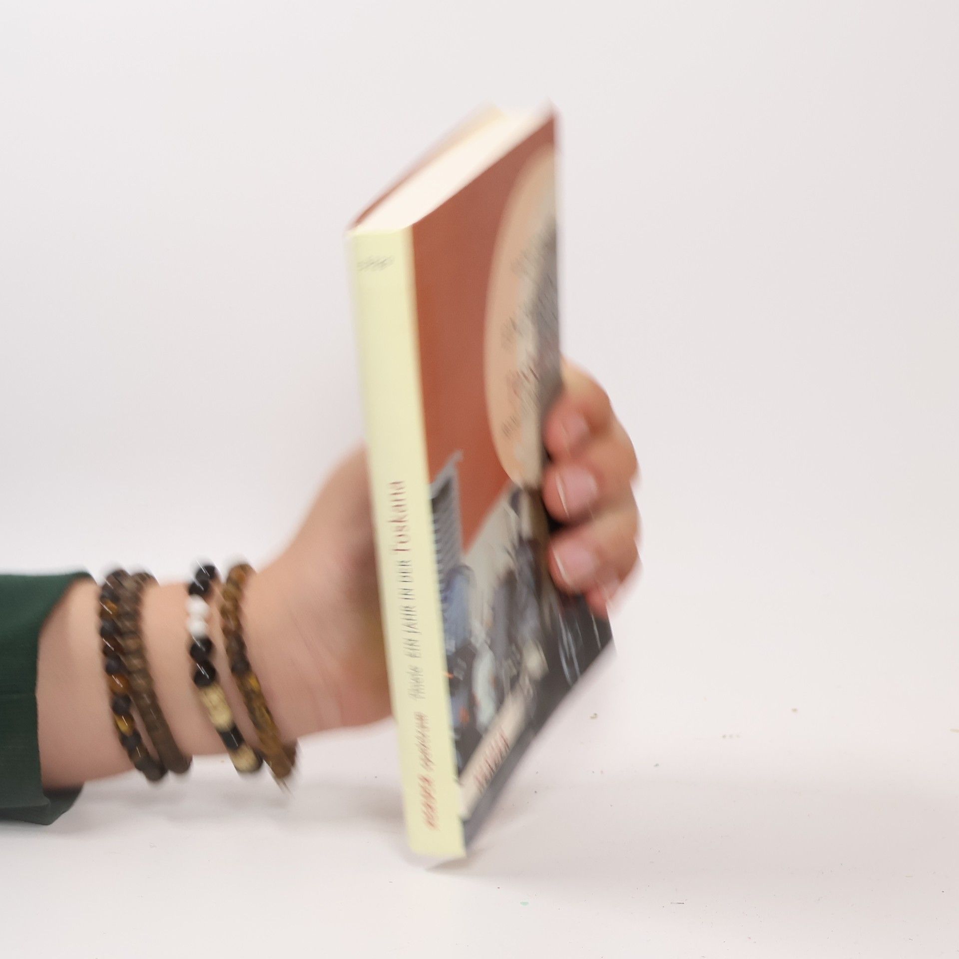 Andrea Thiele Ein Jahr in der Toskana