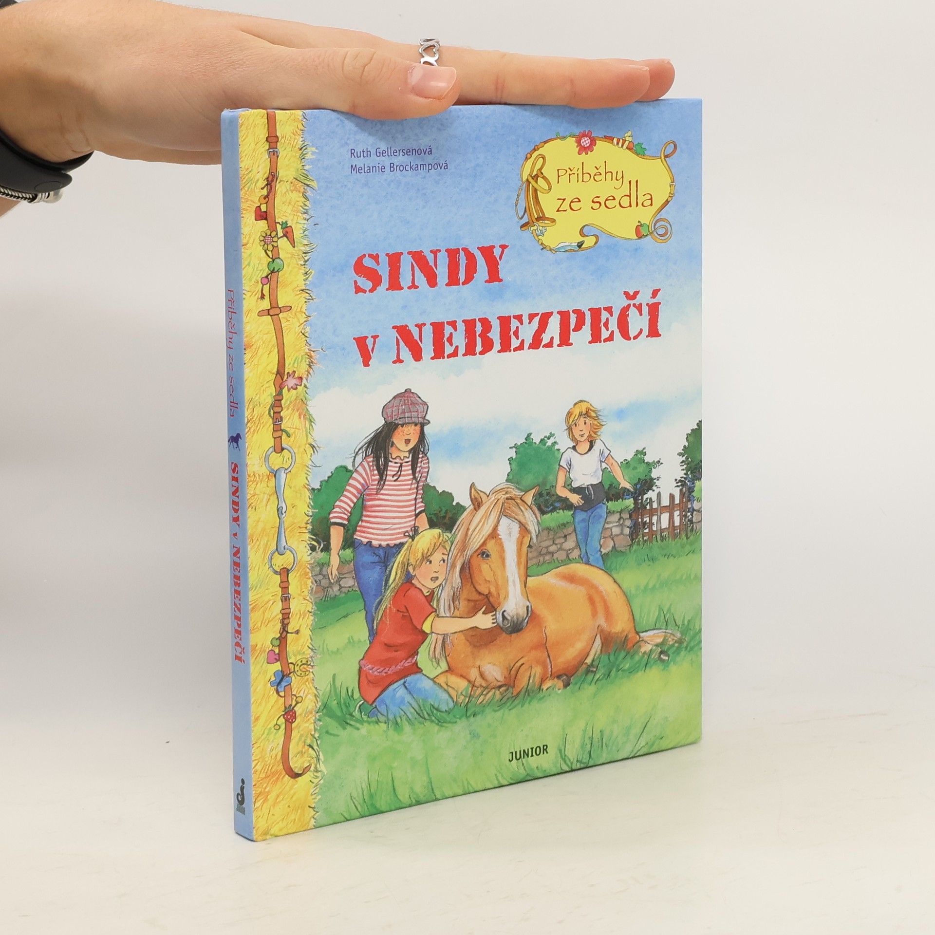 Sindy v nebezpečí