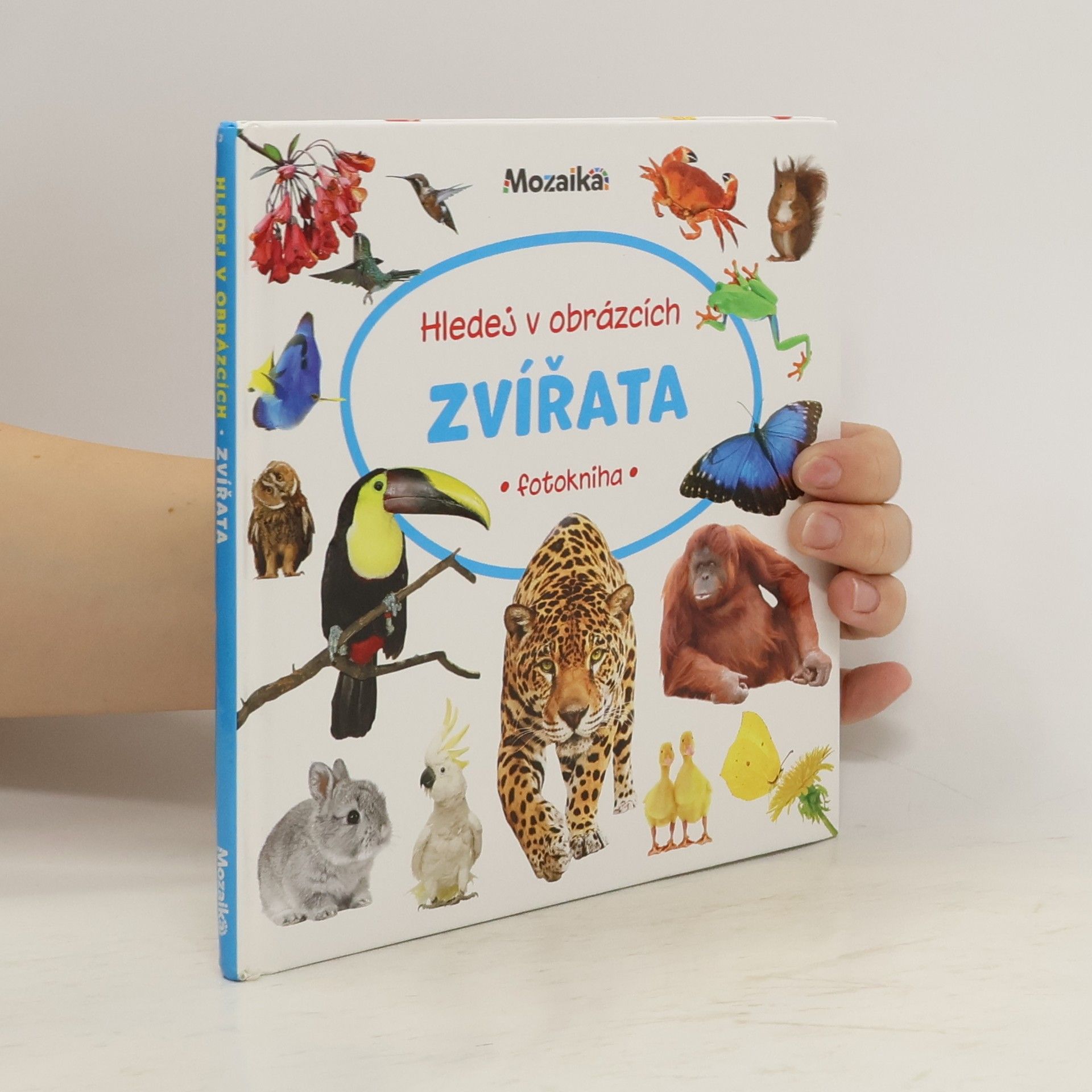 Auteurscollectief Hledej v obrázcích: Zvířata (fotokniha)