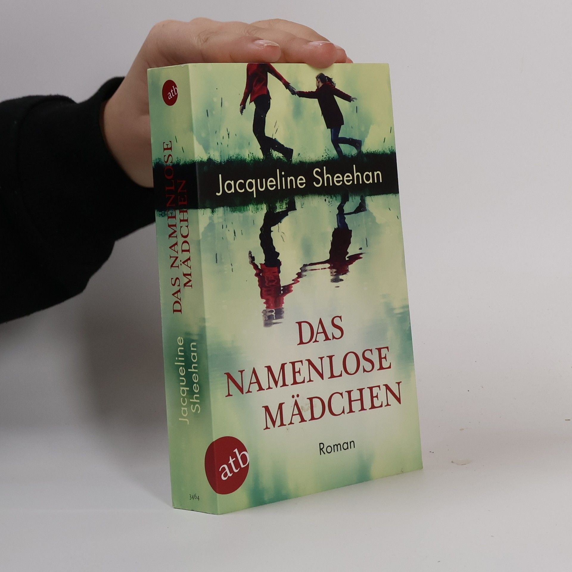 Jacqueline Sheehan Das namenlose Mädchen