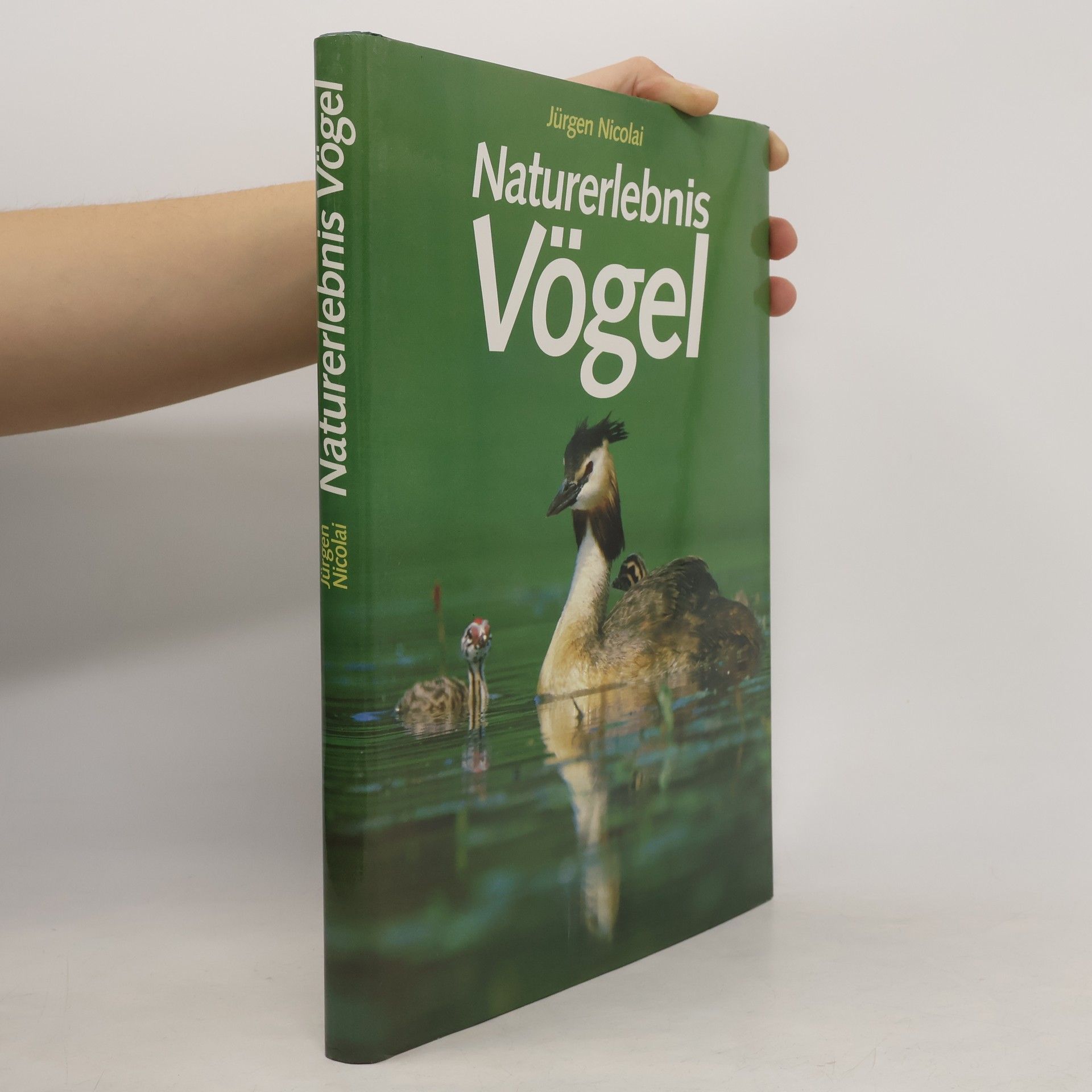 Jürgen Nicolai Naturerlebnis Vögel