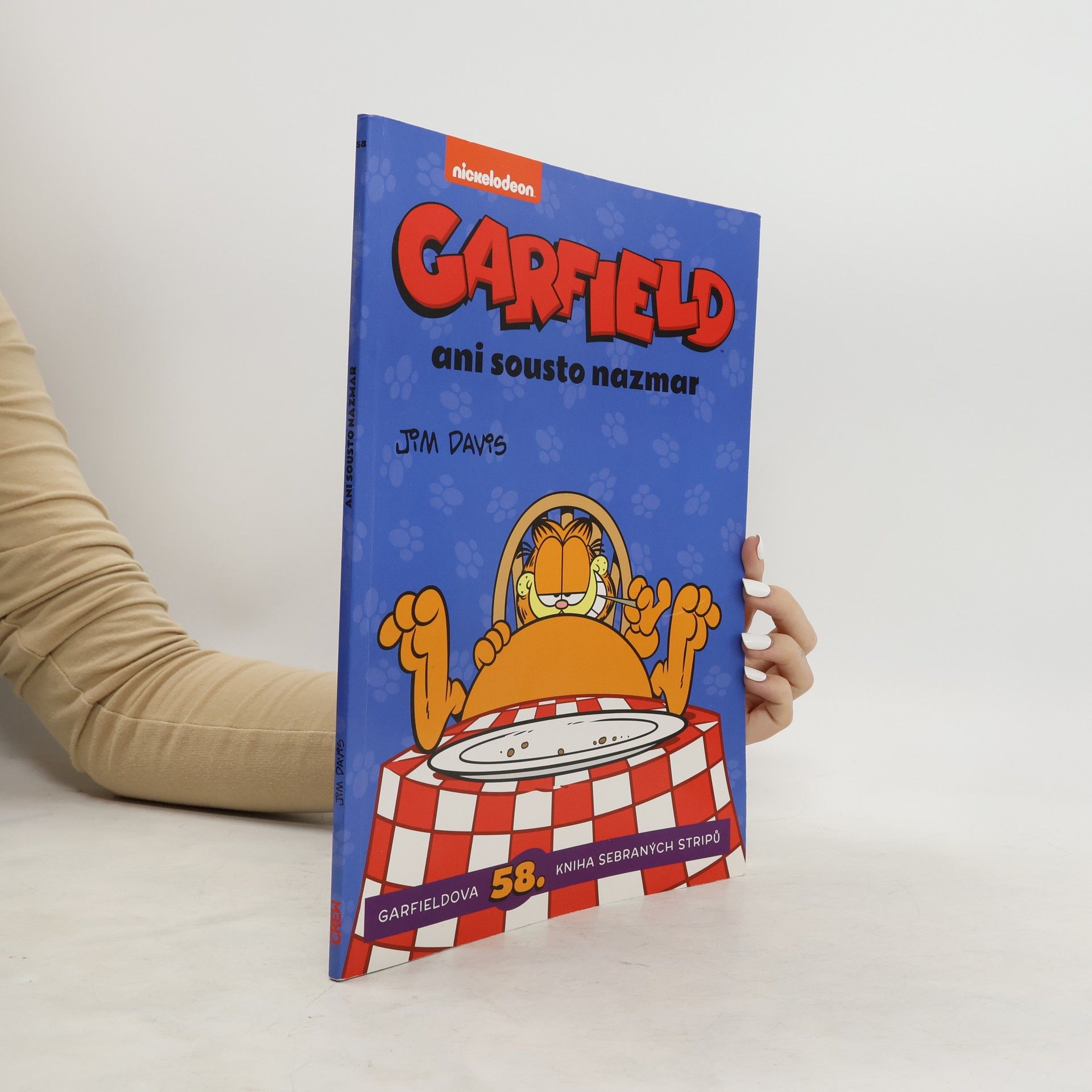 Jim Davis Garfield - ani sousto nazmar