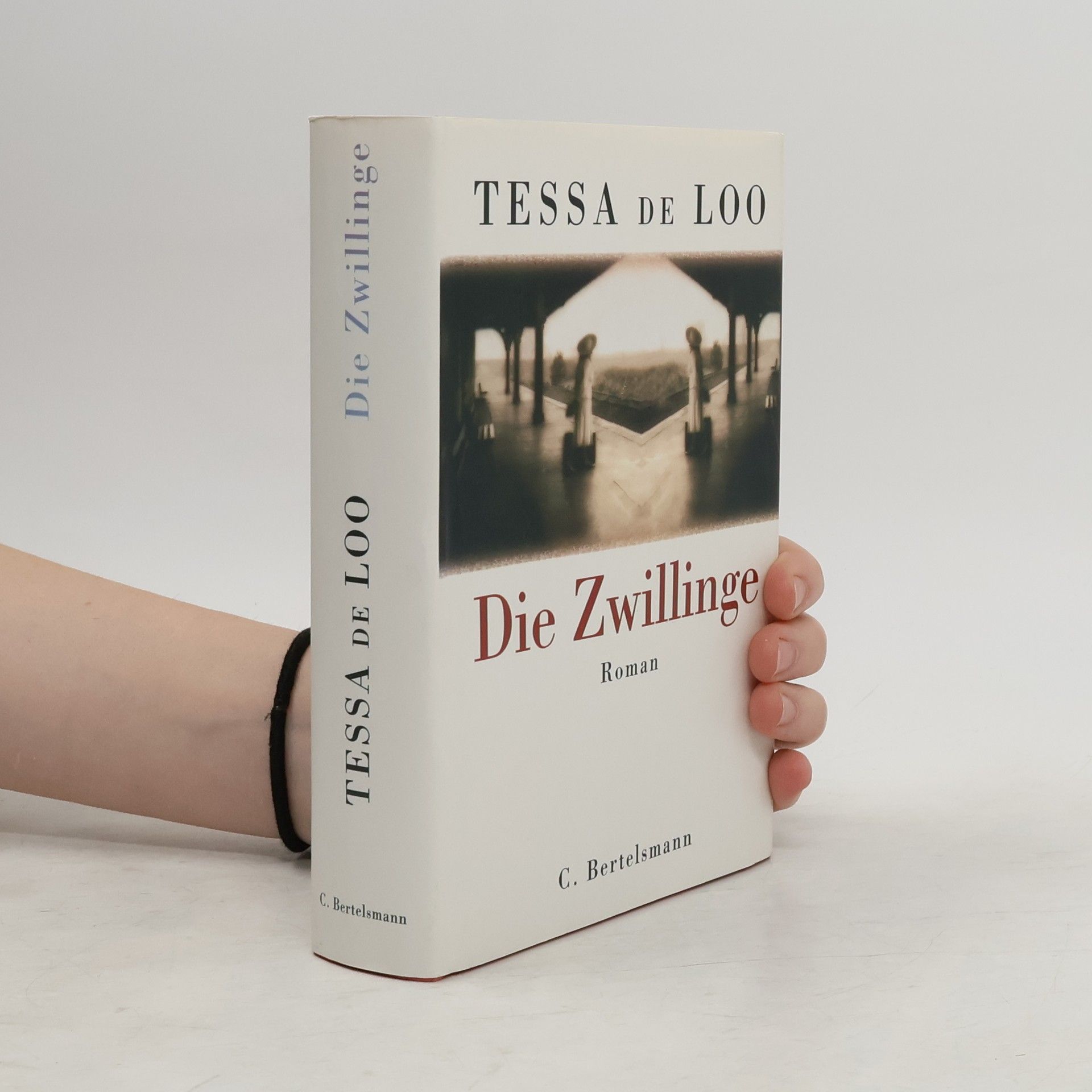 Tessa de Loo Die Zwillinge