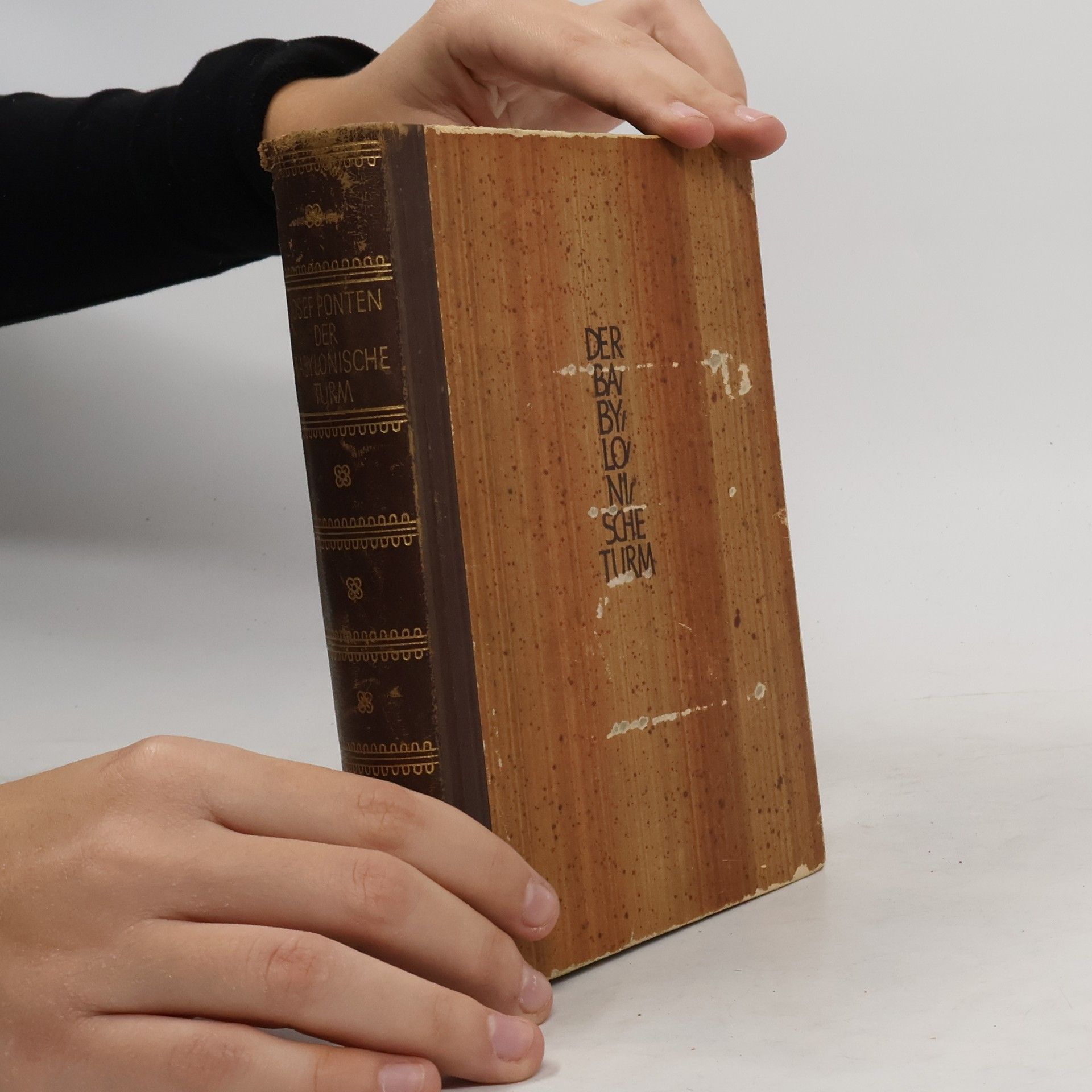 Josef Ponten Der Babylonische Turm