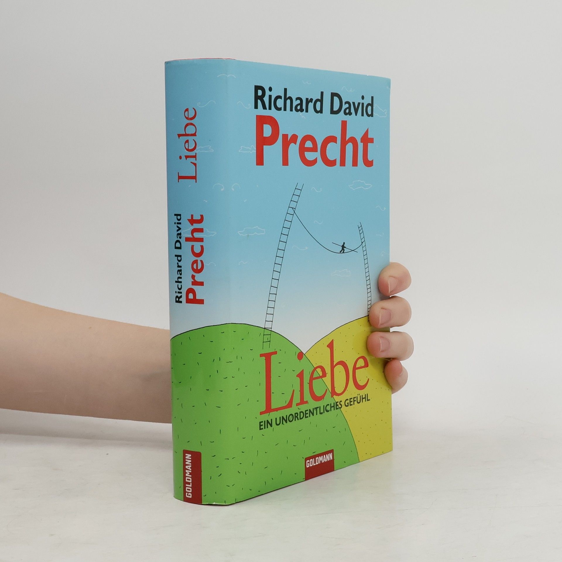 Richard David Precht Liebe ein Unordentliches Gefühl